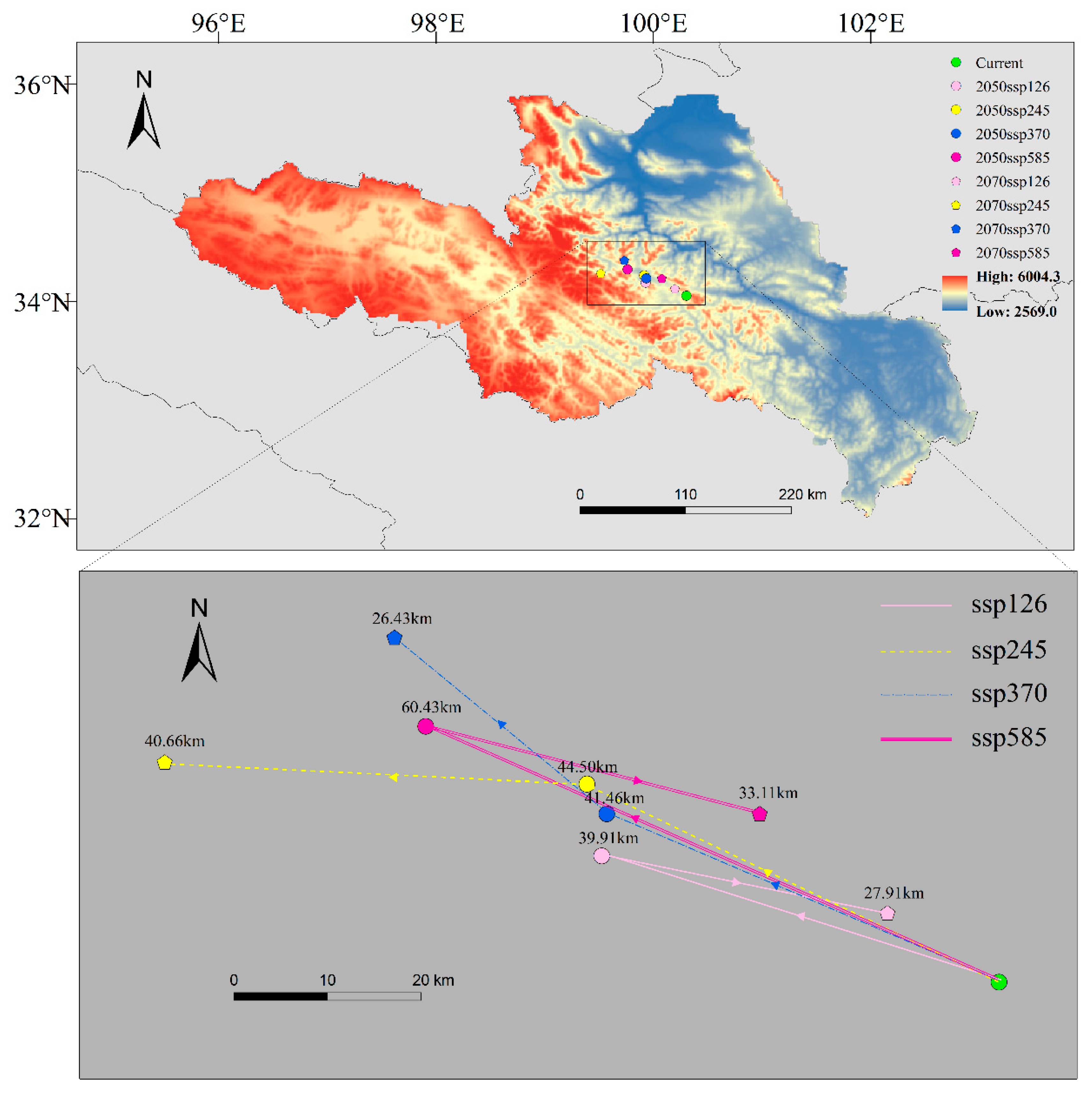 Forests 16 00448 g007