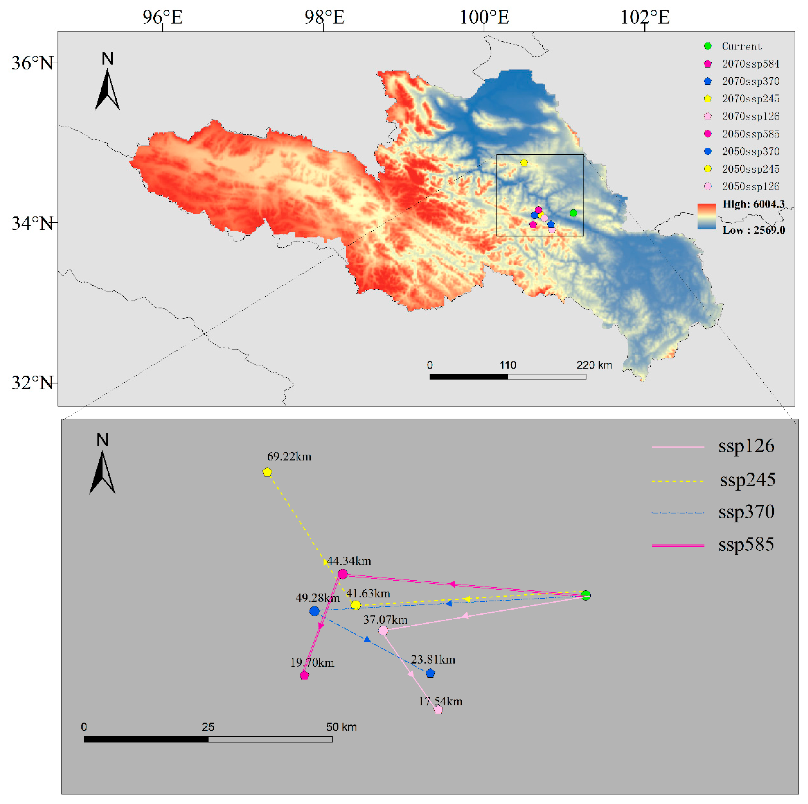 Forests 16 00448 g012