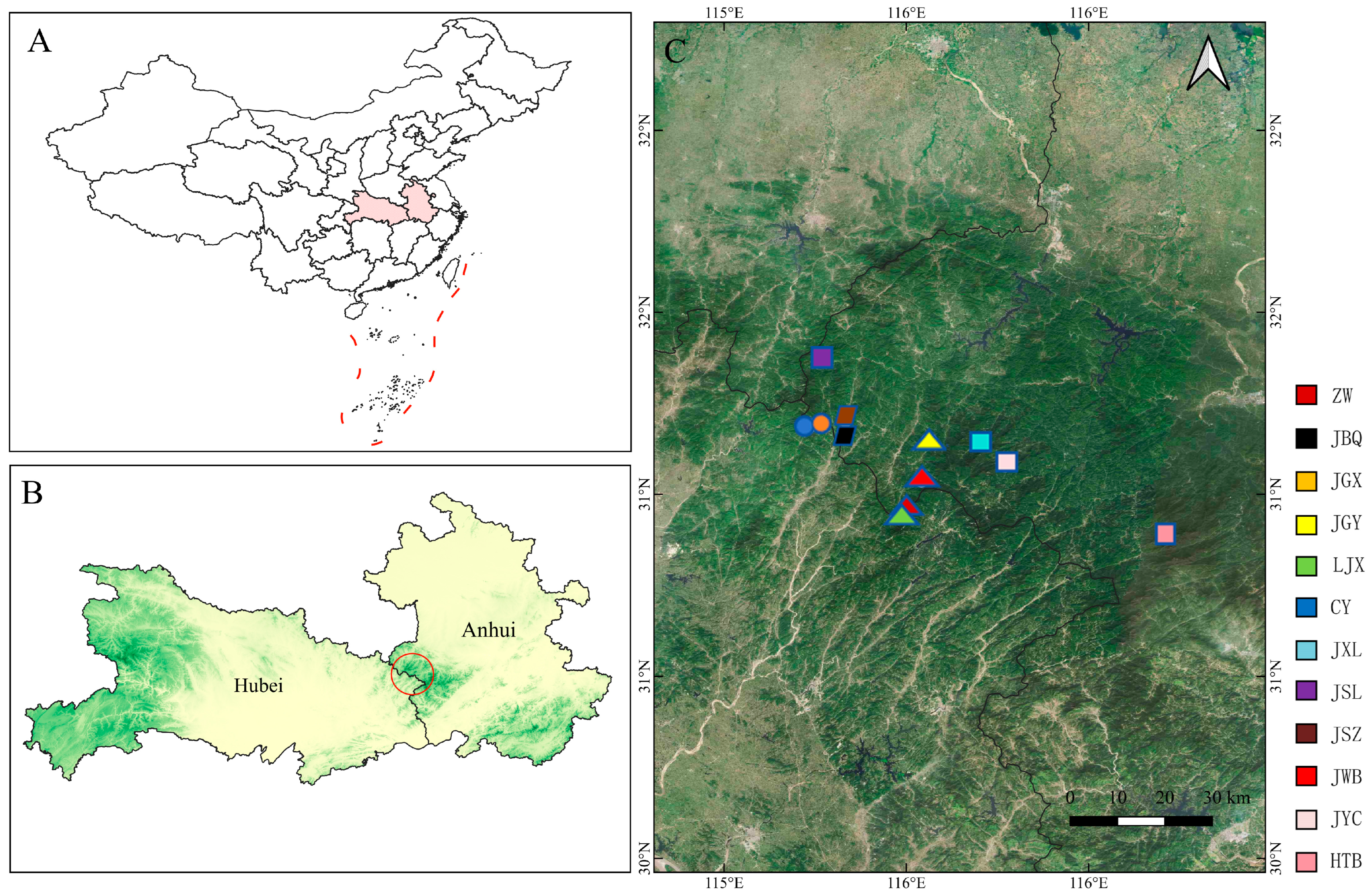 Forests 16 00455 g001