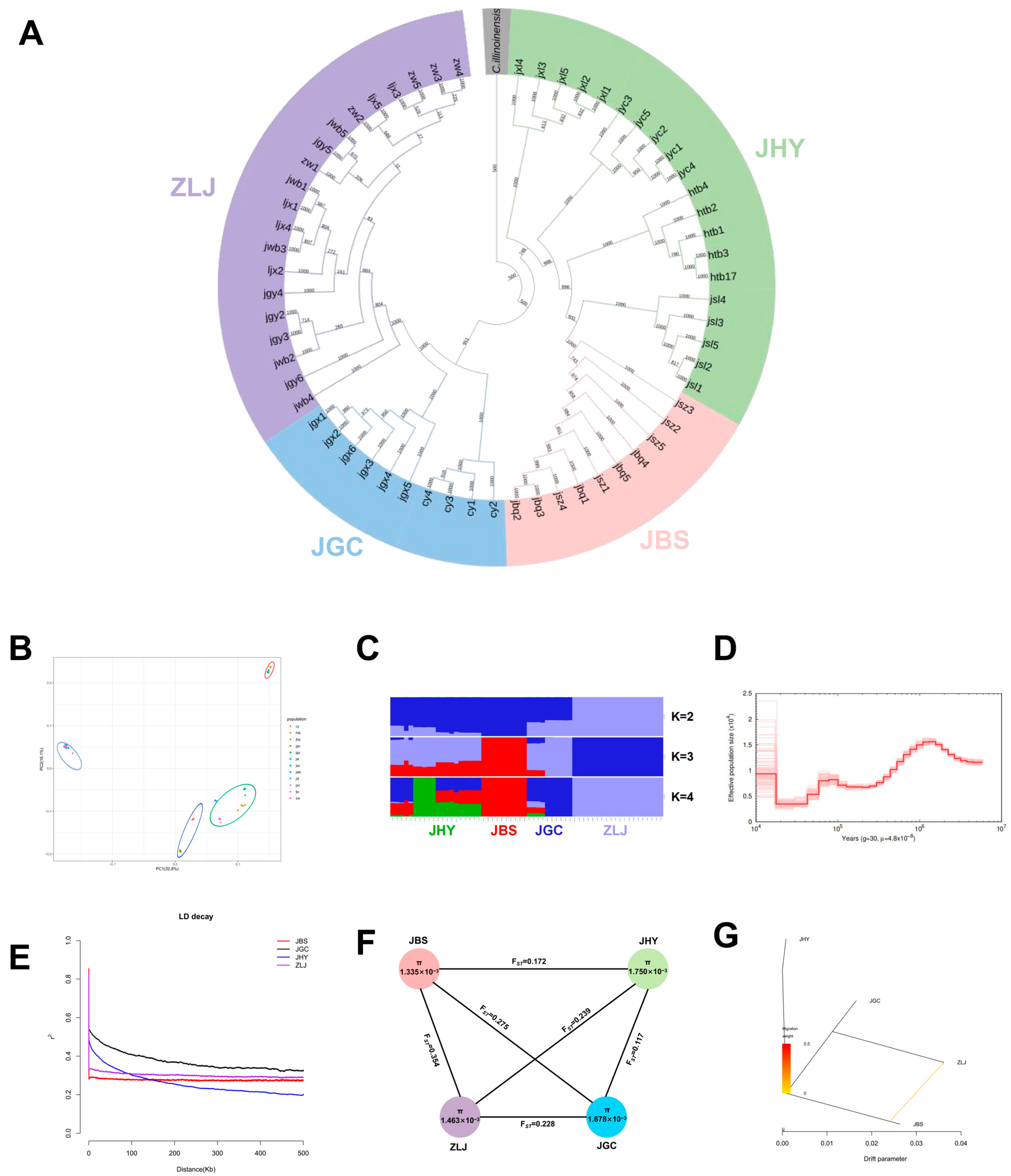 Forests 16 00455 g002