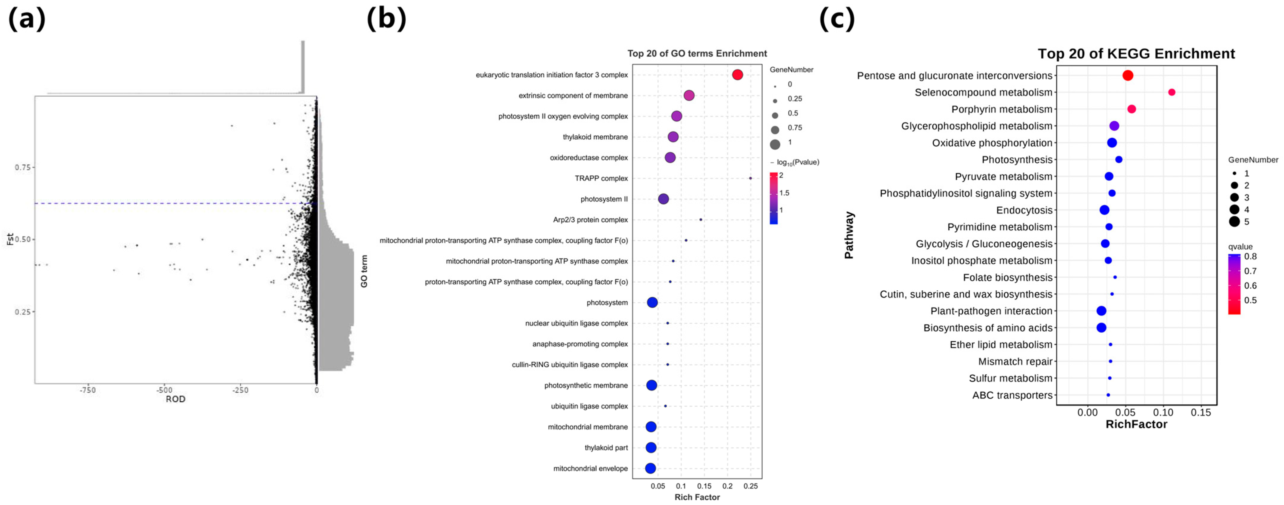 Forests 16 00455 g003