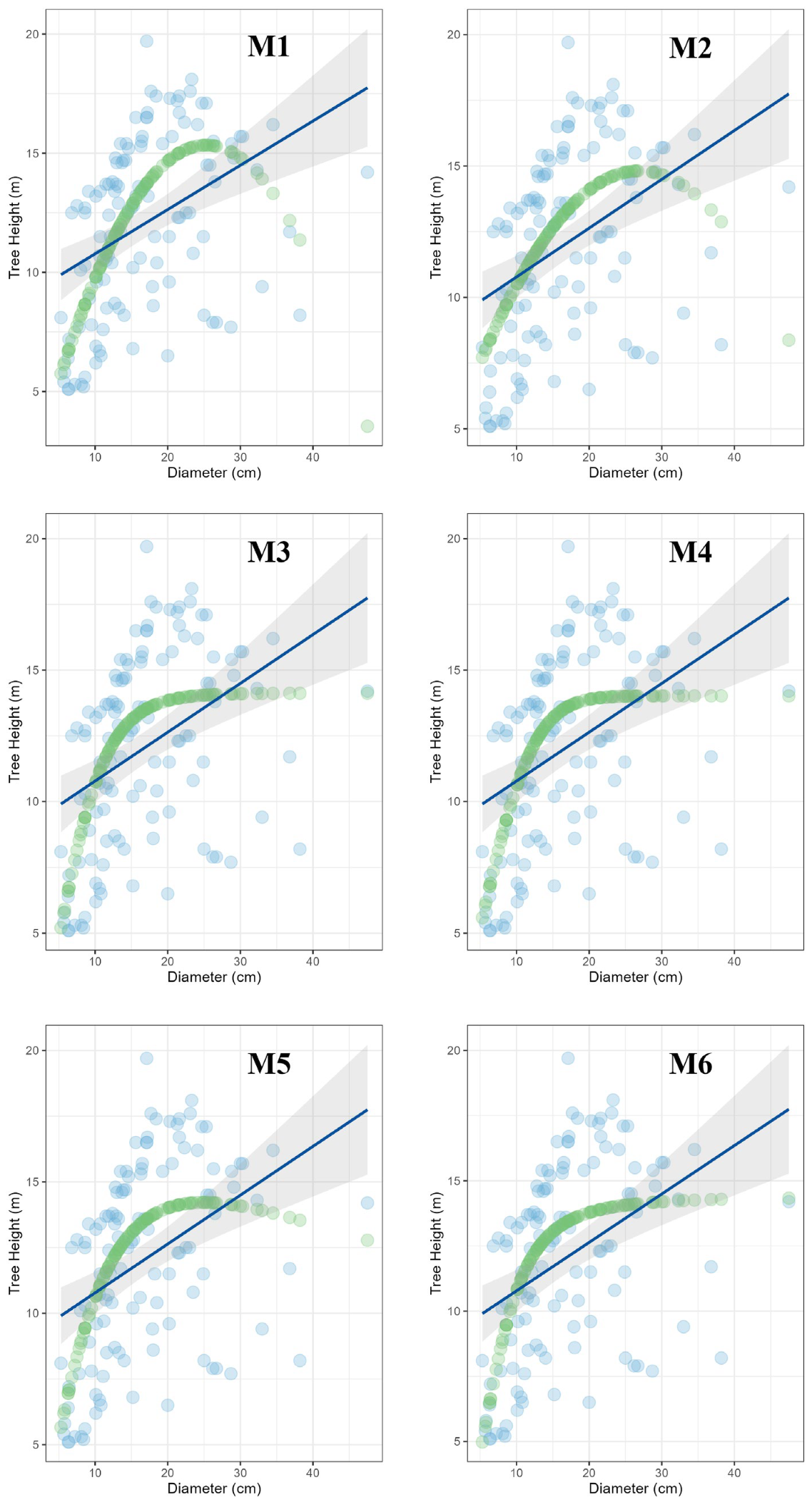 Forests 16 00457 g008