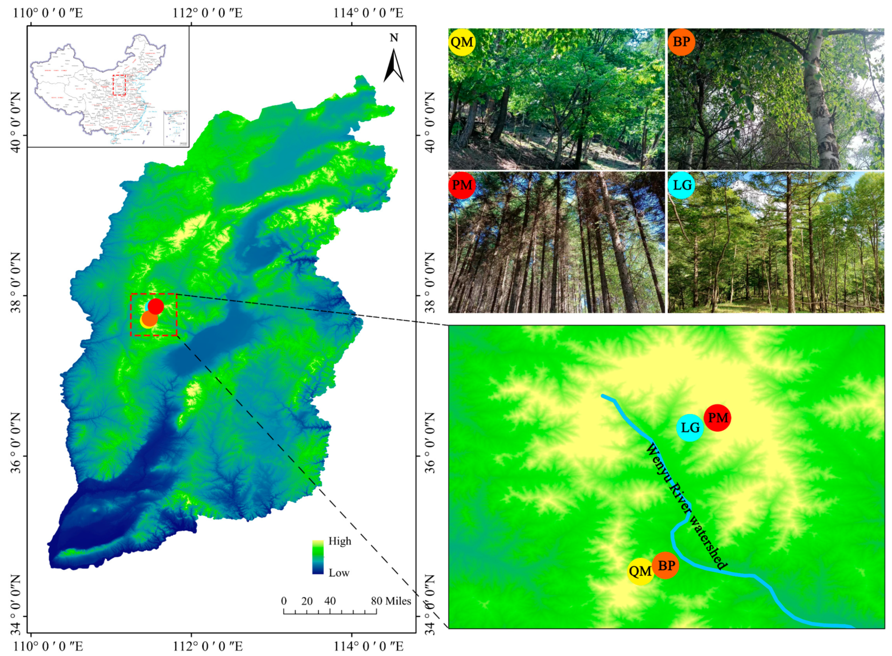 Forests 16 00459 g001
