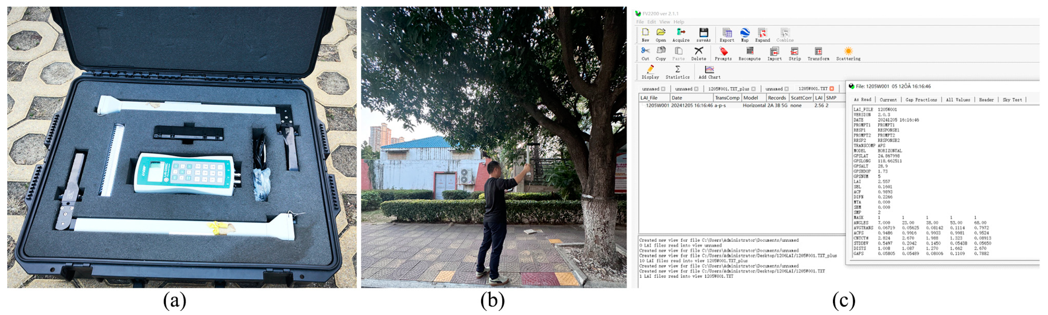 Forests 16 00461 g005