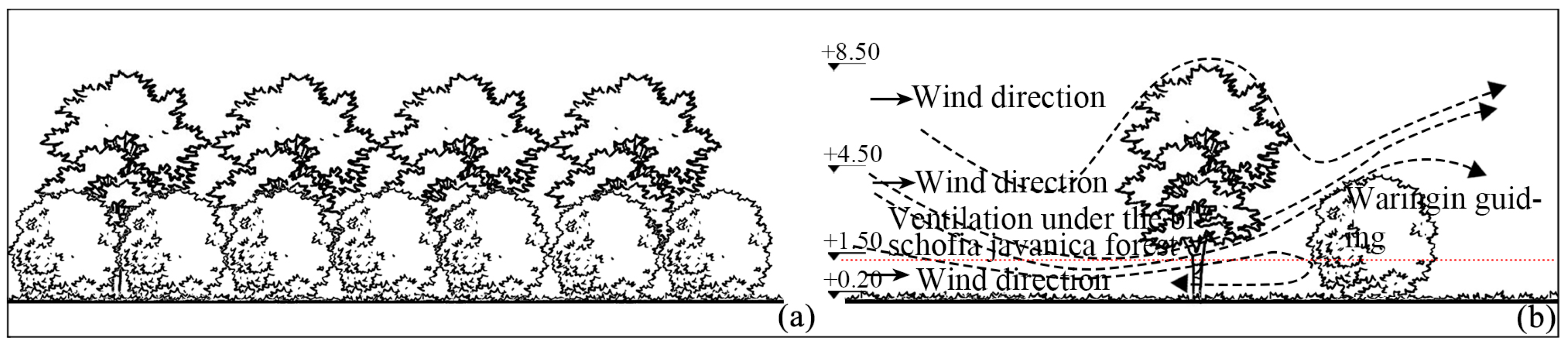Forests 16 00461 g015