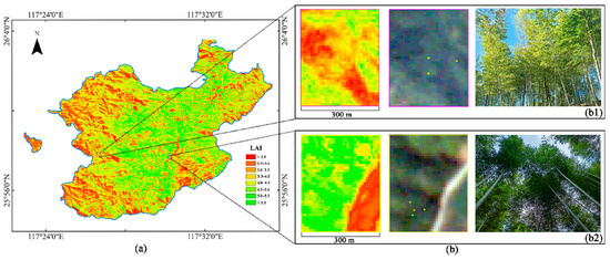 LAI Mapping of Winter Moso Bamboo Forests Using Zhuhai-1