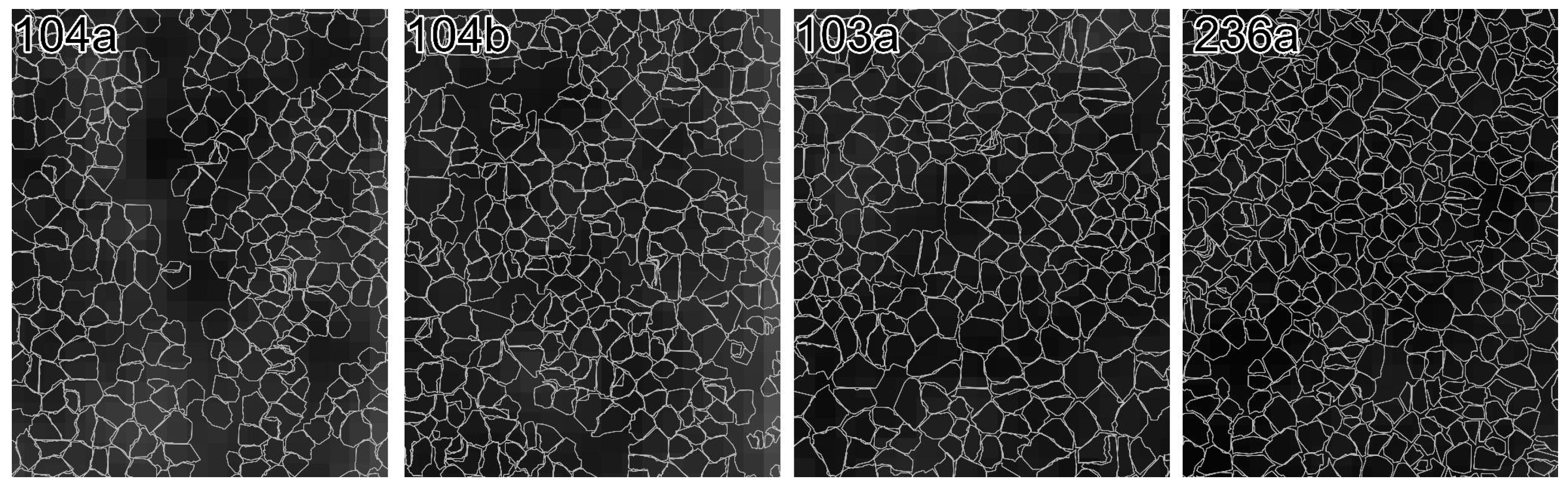 Forests 16 00472 g005