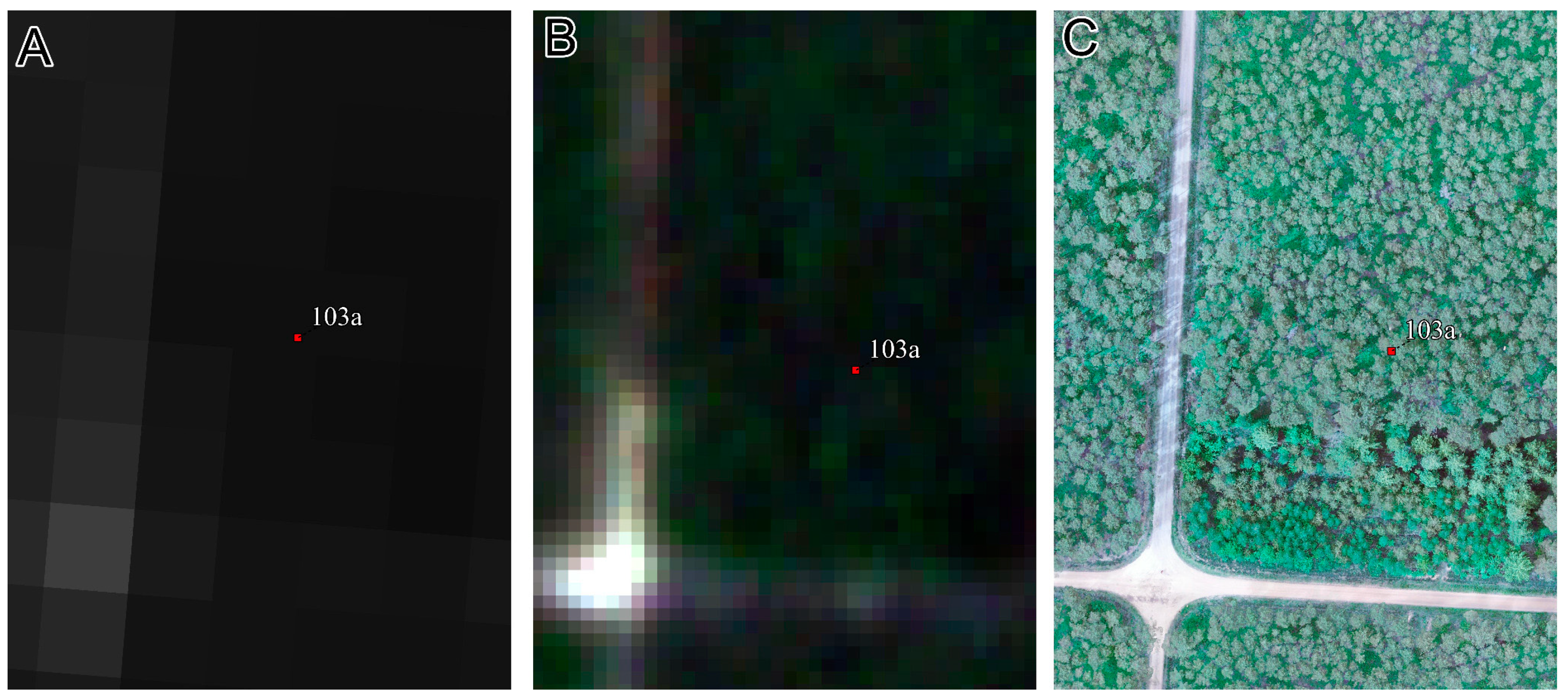 Forests 16 00472 g010