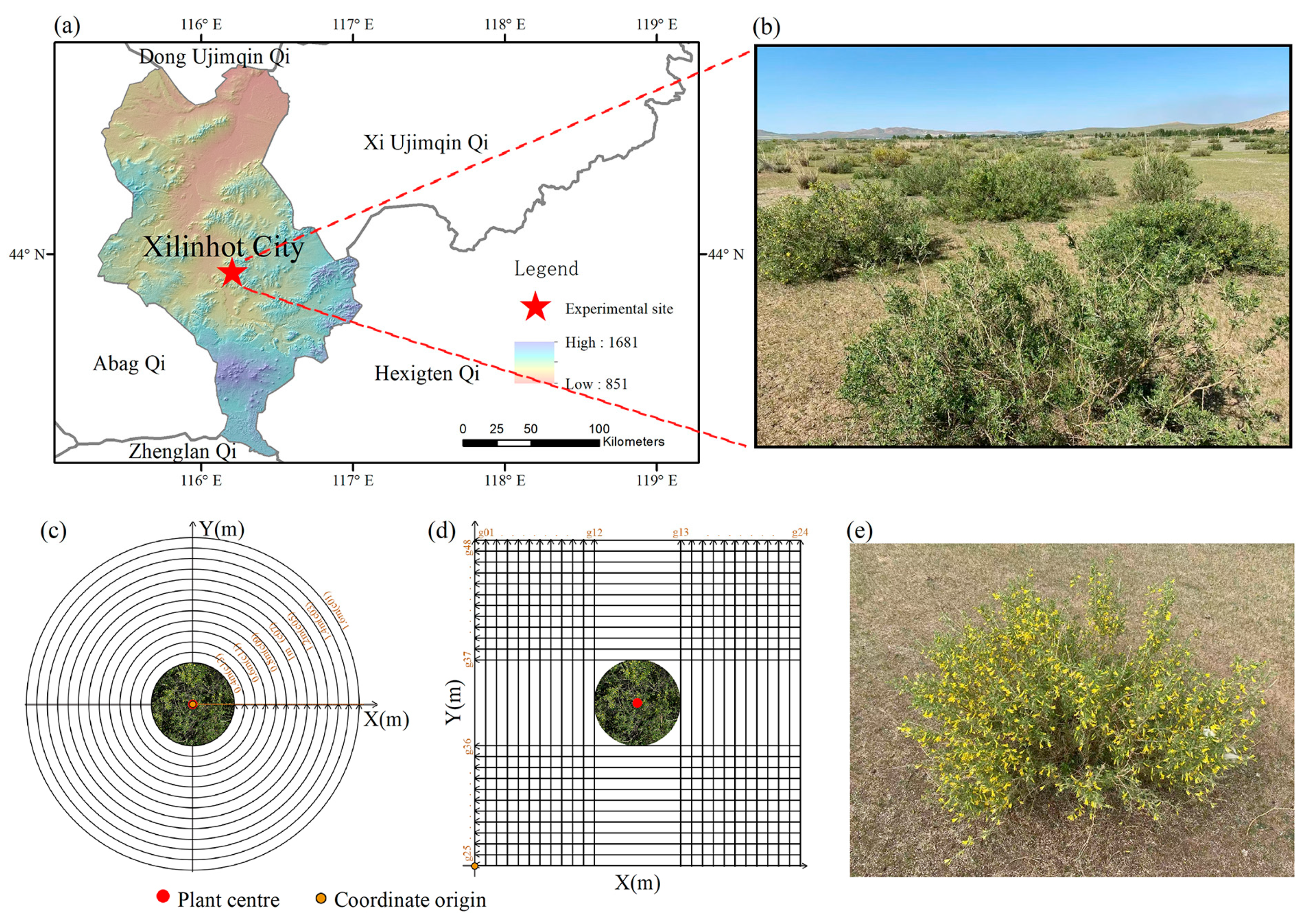 Forests 16 00475 g001