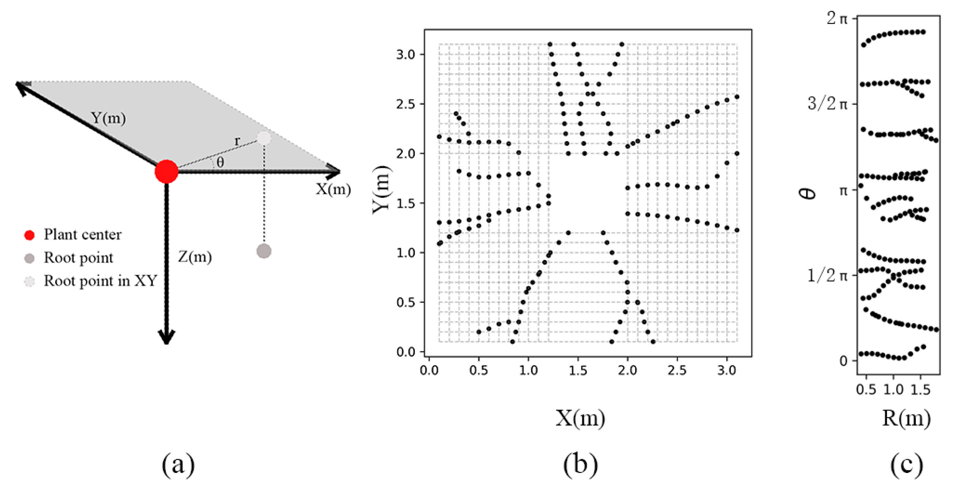 Forests 16 00475 g004