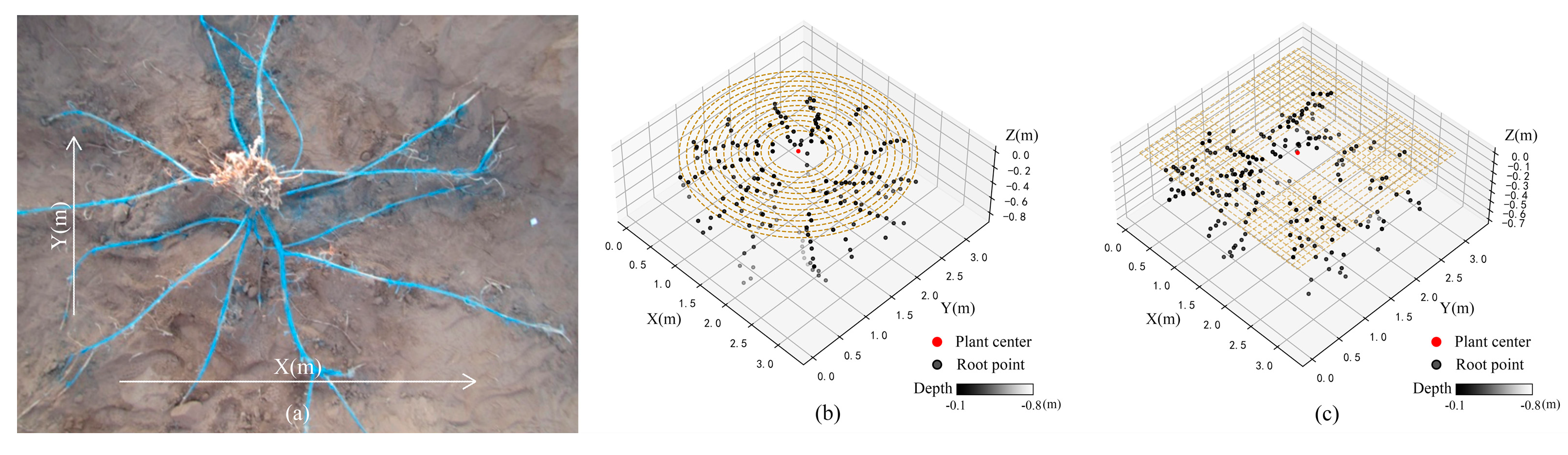 Forests 16 00475 g008