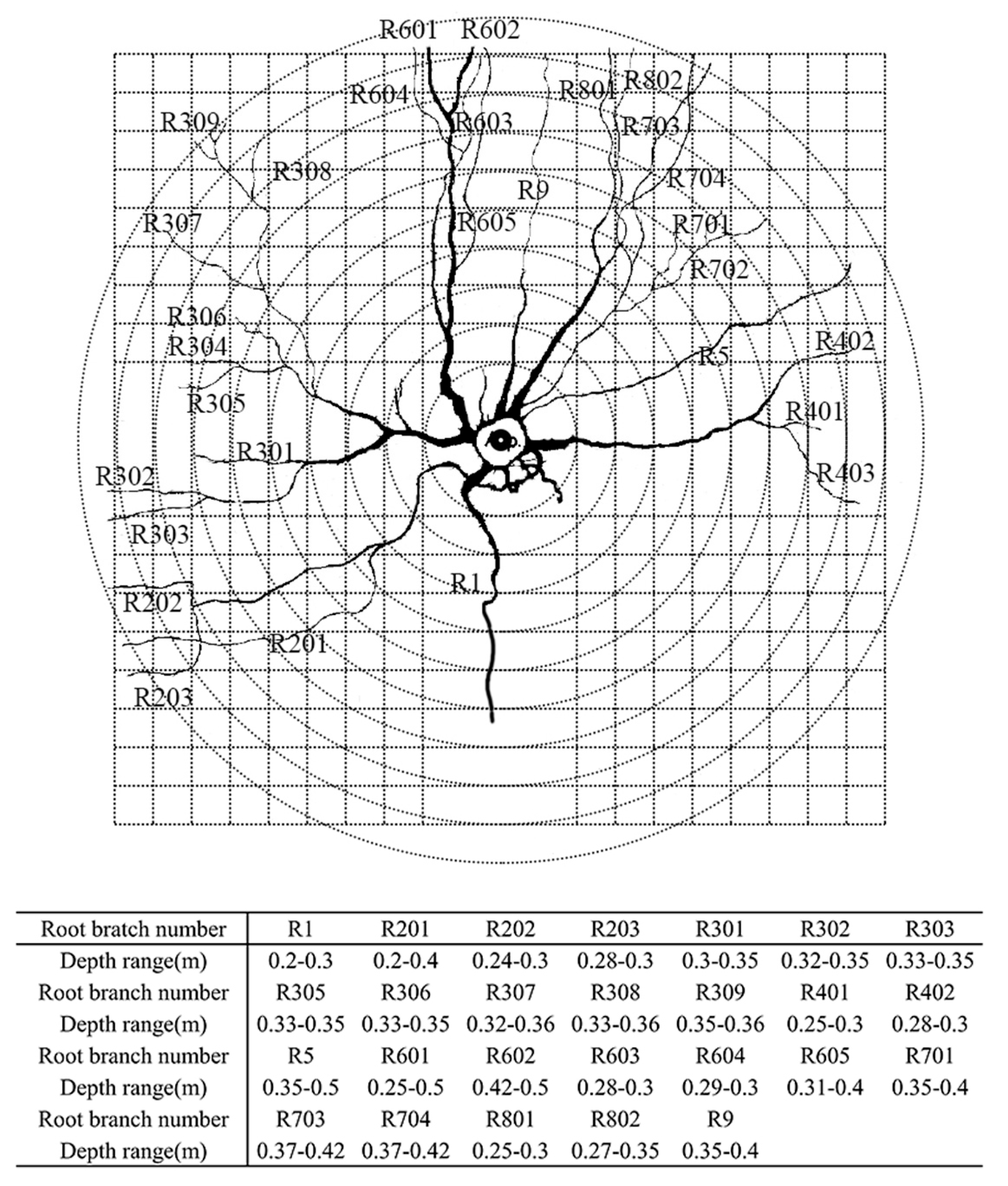 Forests 16 00475 g0a1