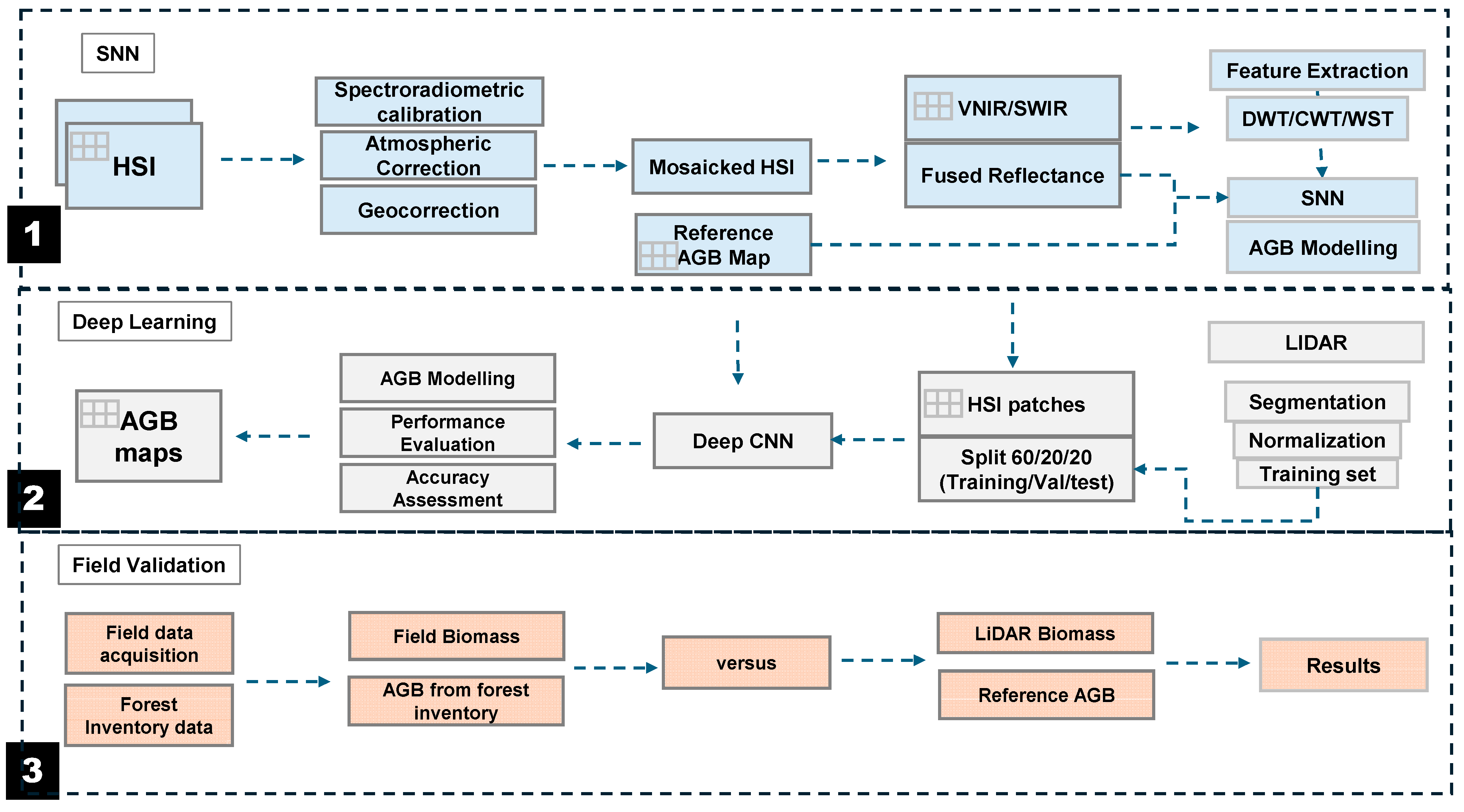 Forests 16 00477 g002