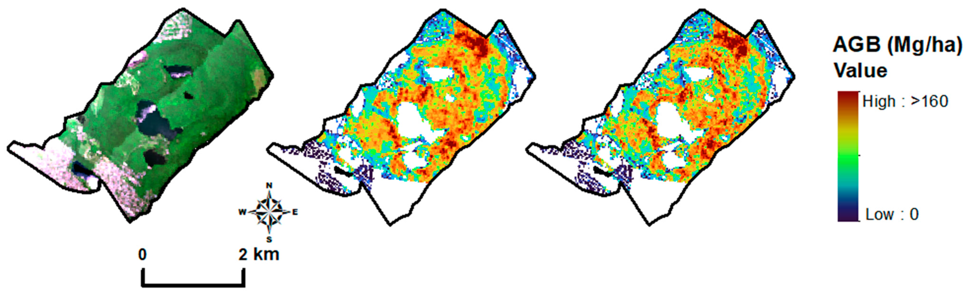 Forests 16 00477 g011