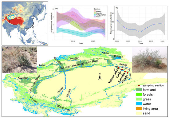Mutual Water Supply Existed Between the Root Systems of Tamarix ...