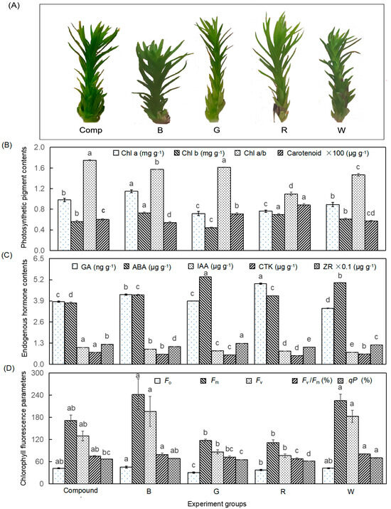 Integrative Analysis of Transcriptome and Metabolome Reveals