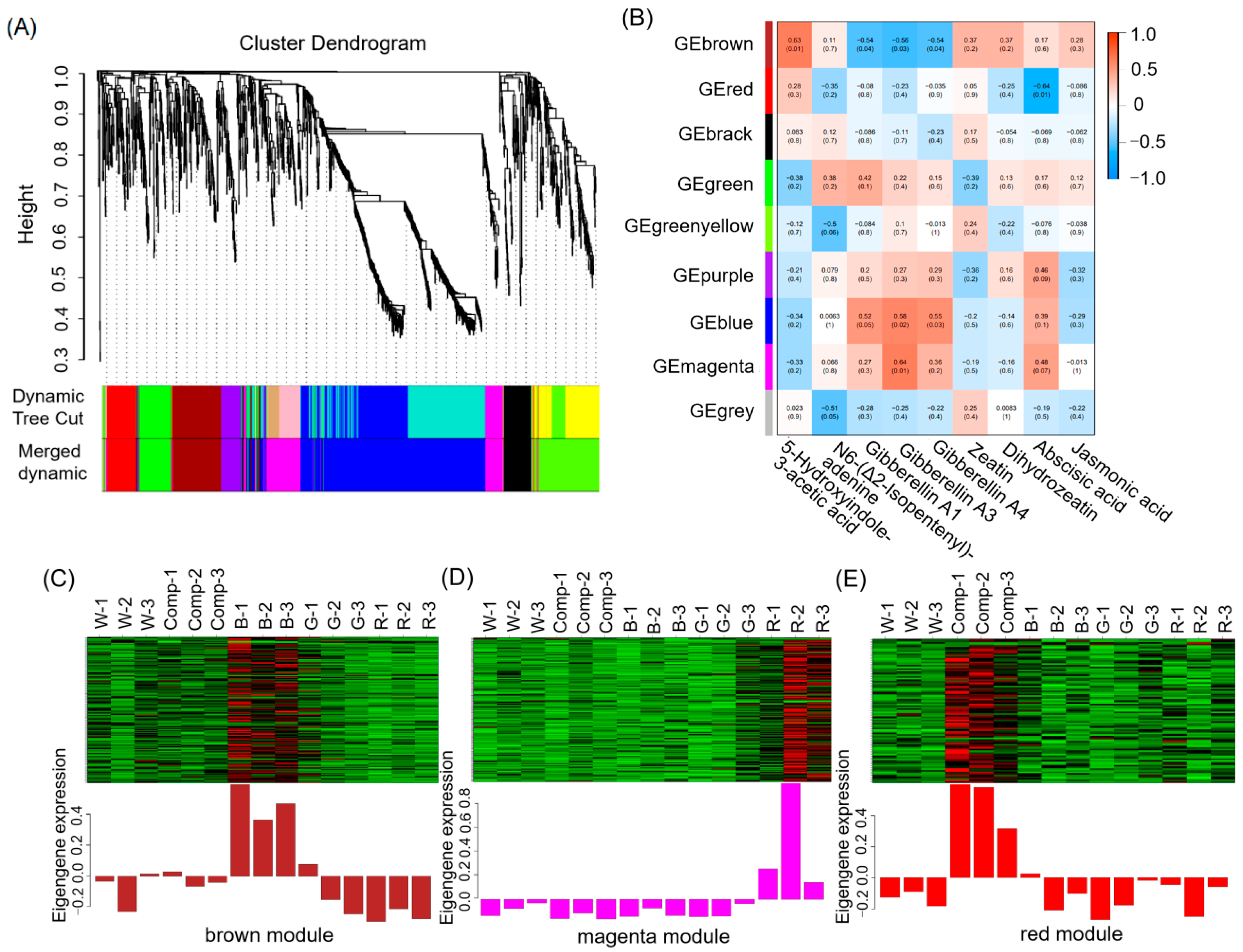 Forests 16 00486 g006a