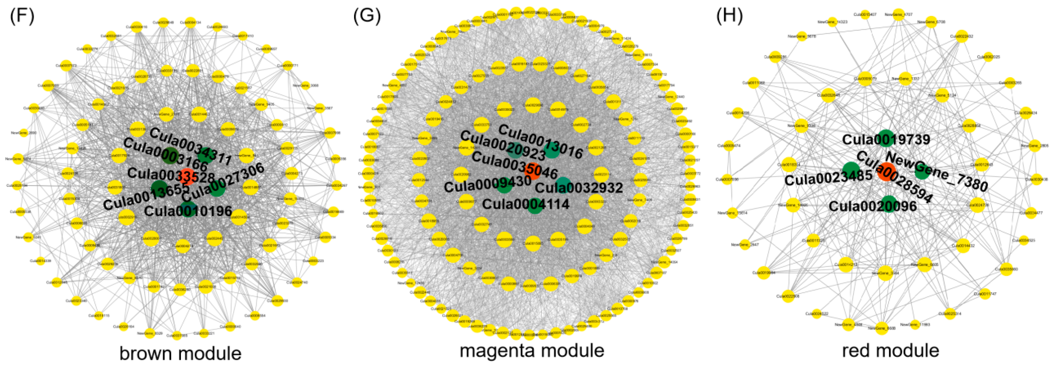 Forests 16 00486 g006b