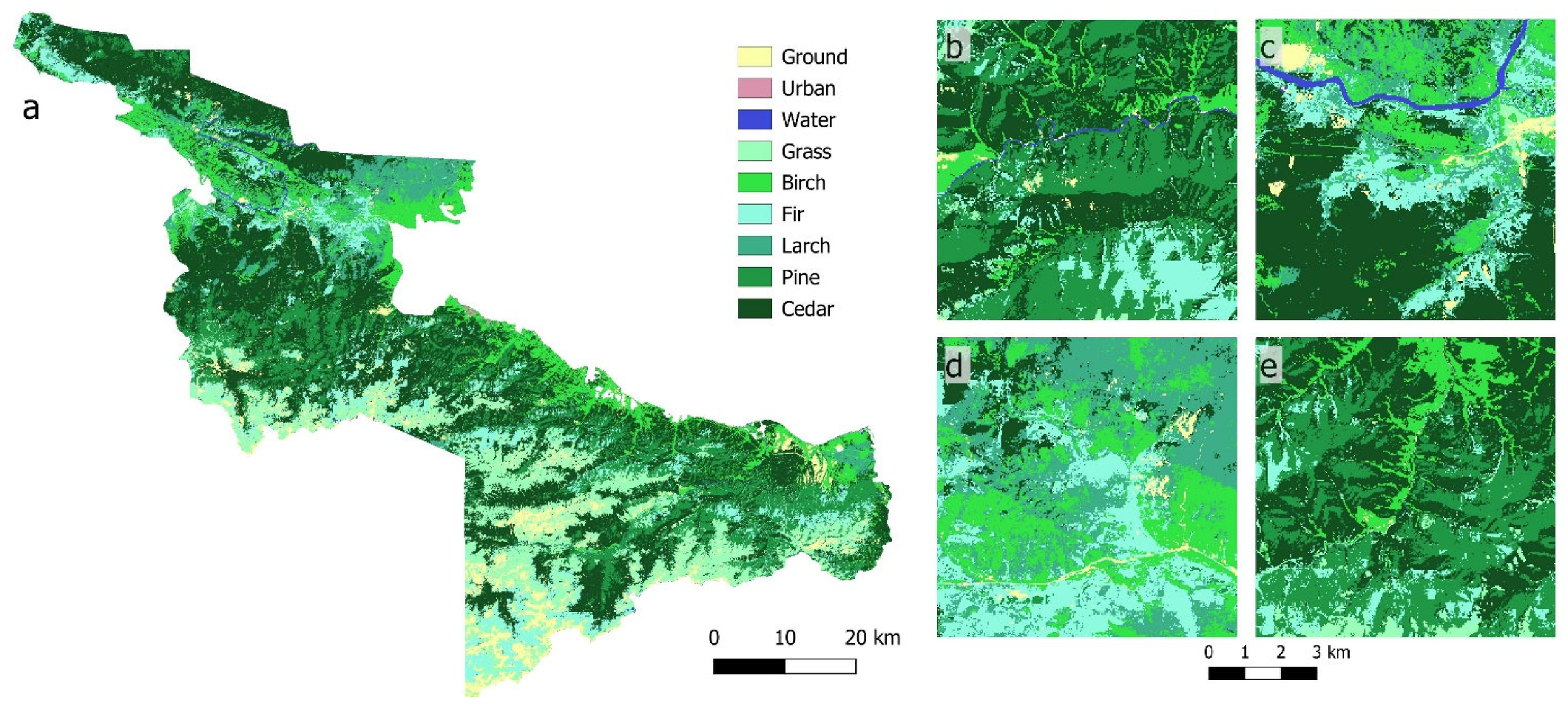 Forests 16 00487 g008