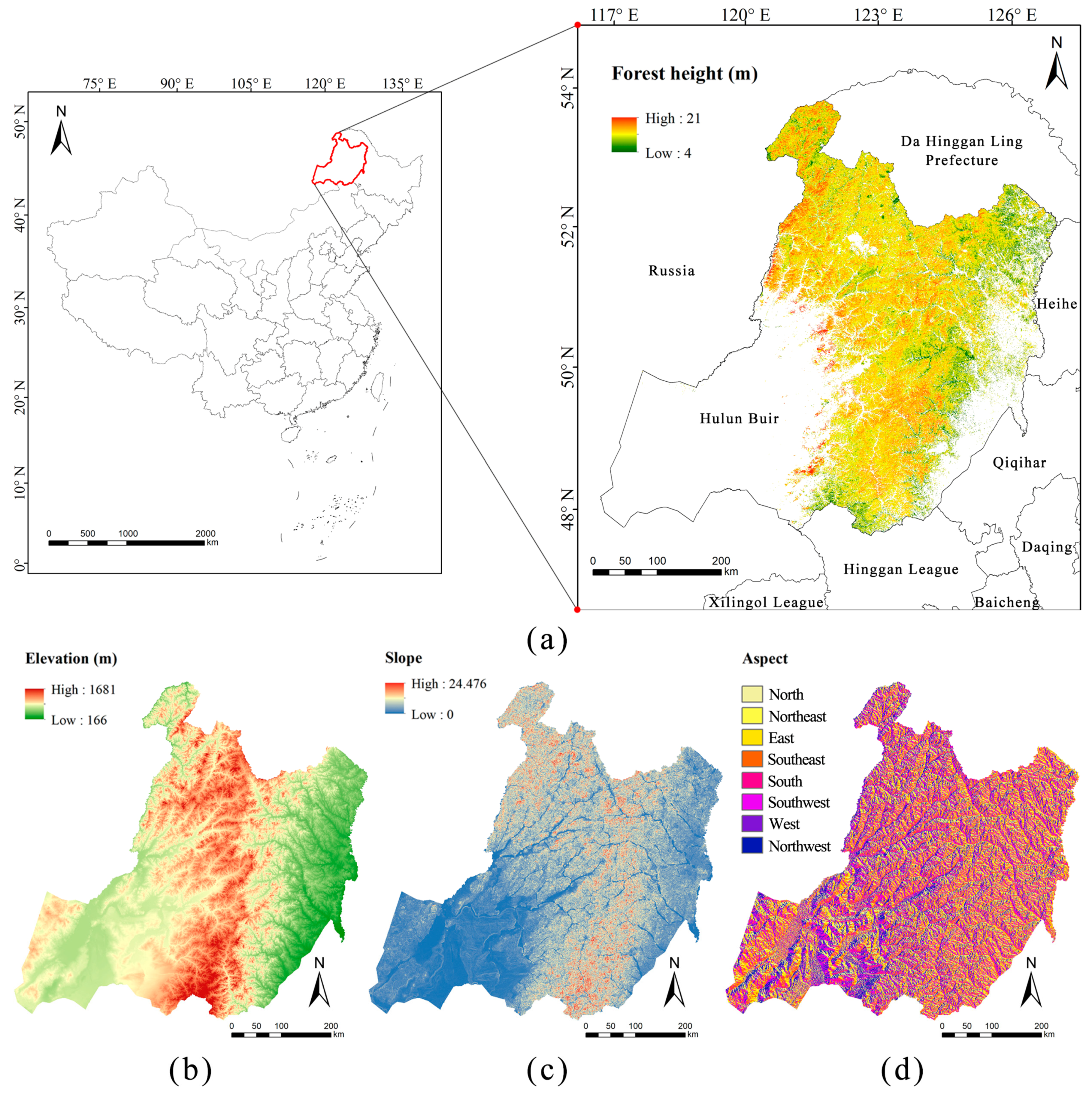 Forests 16 00490 g001