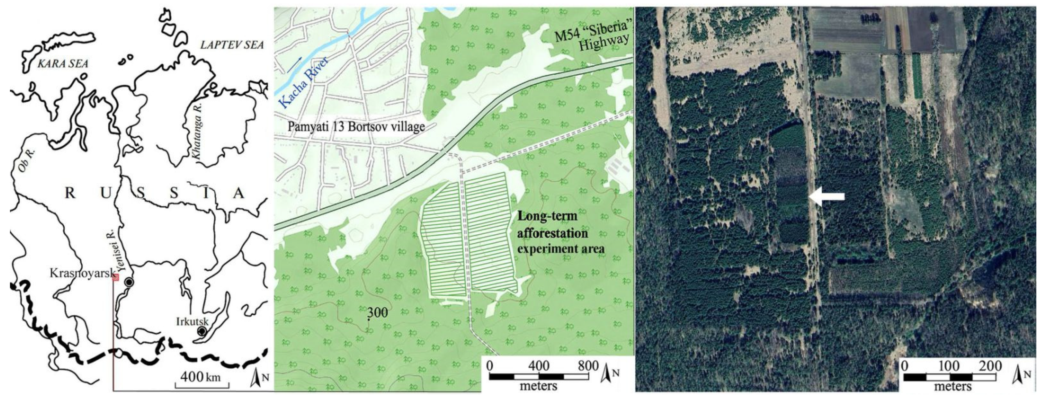 Forests 16 00493 g001