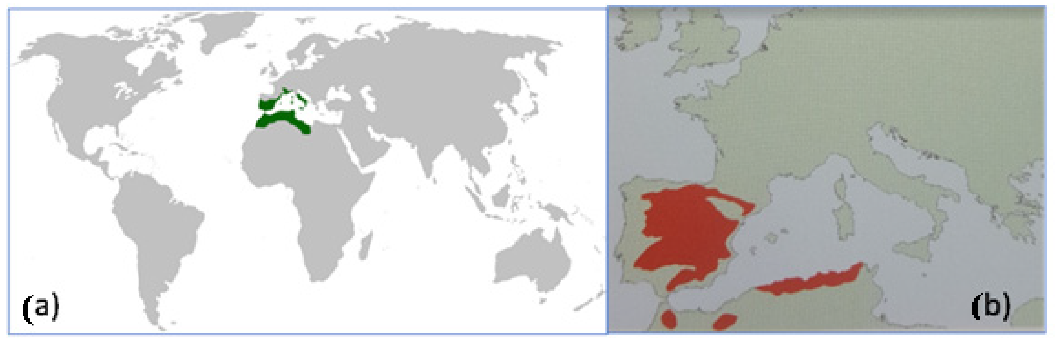Forests 16 00494 g001