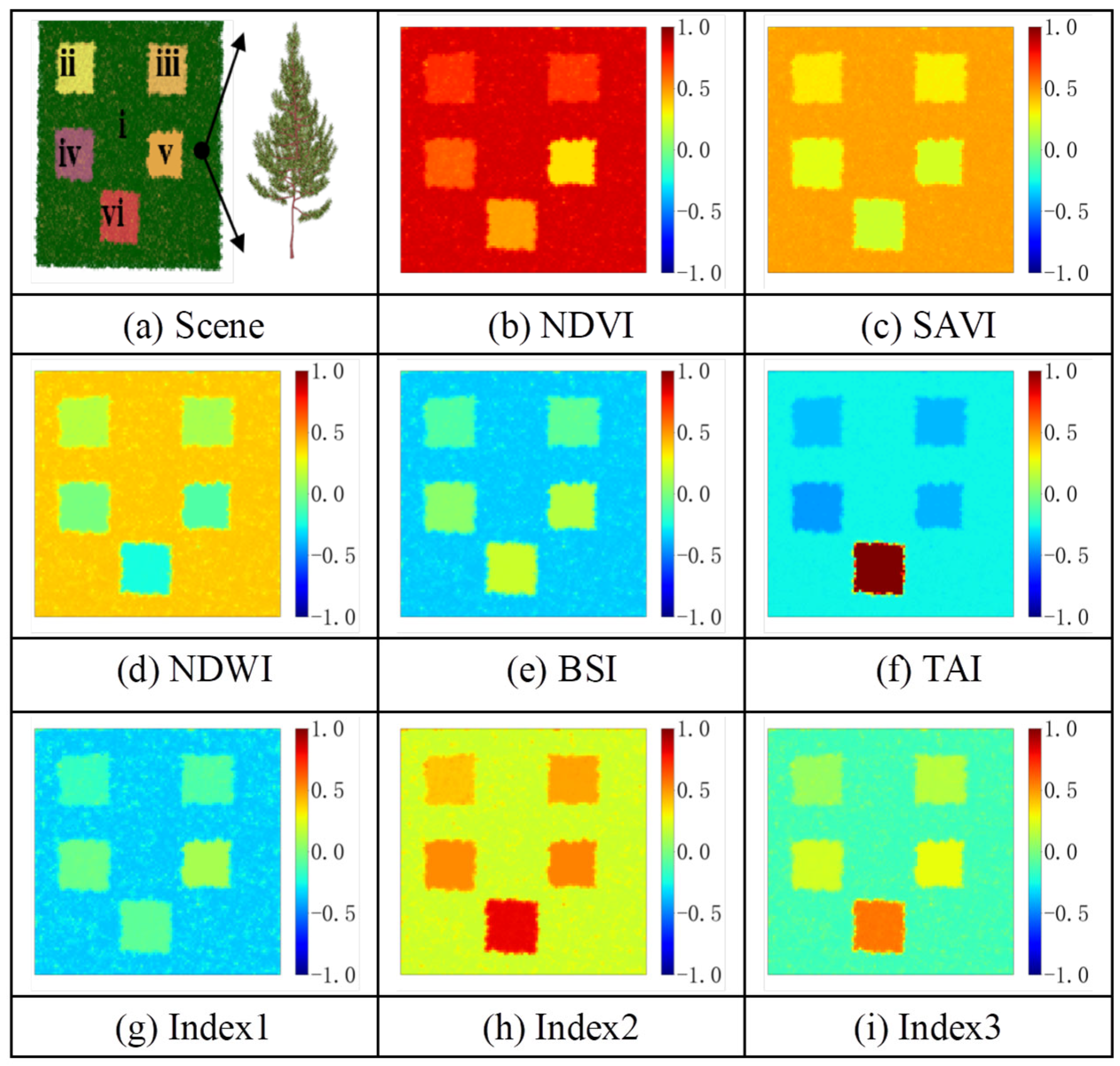 Forests 16 00497 g002