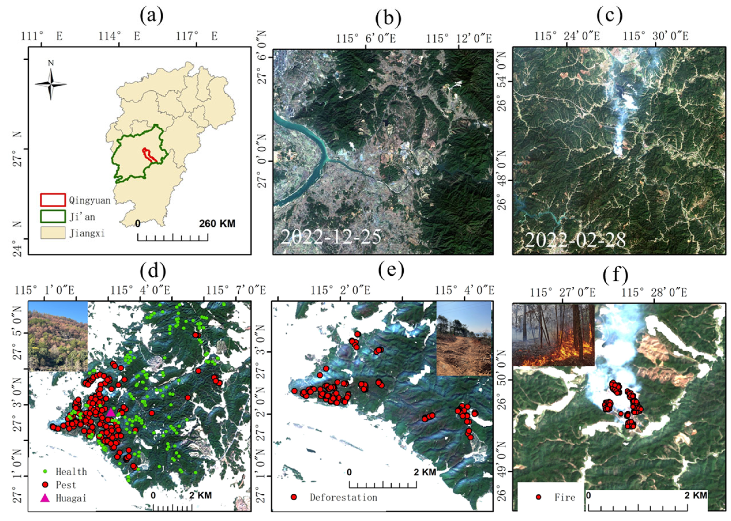 Forests 16 00497 g004