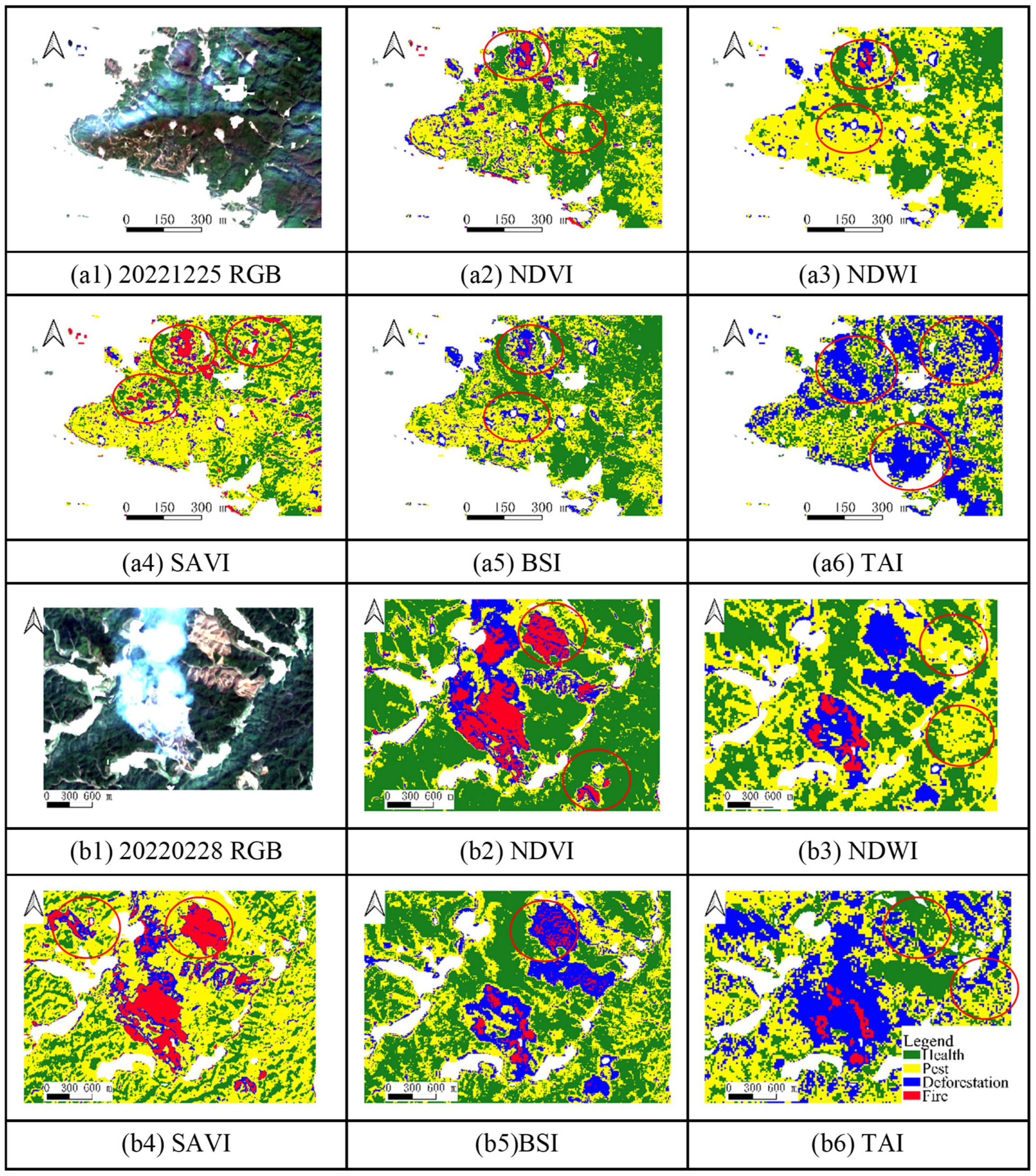 Forests 16 00497 g007