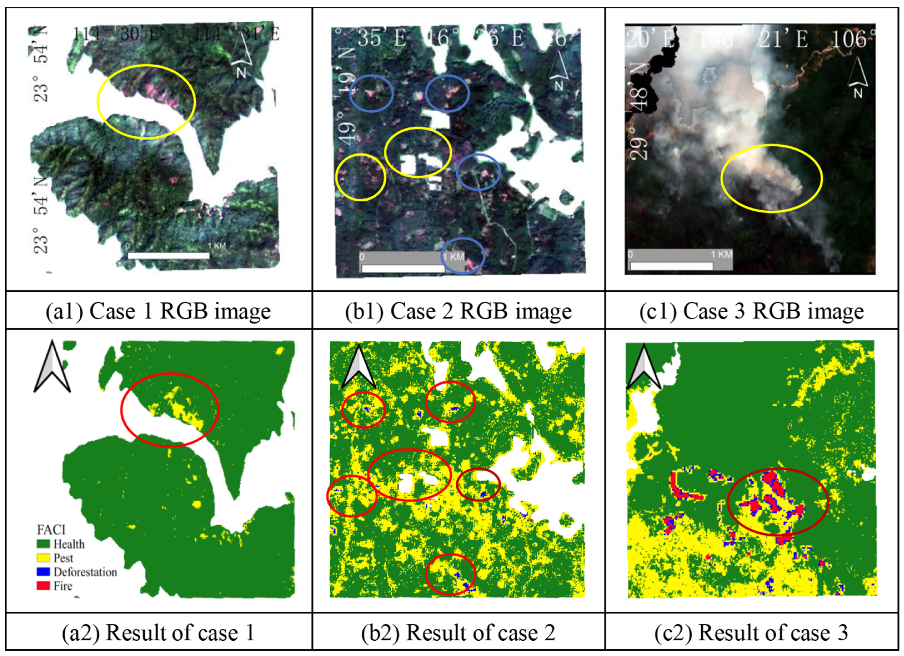 Forests 16 00497 g010