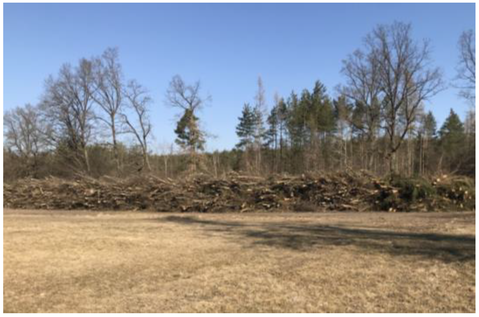 Forests 16 00498 g001