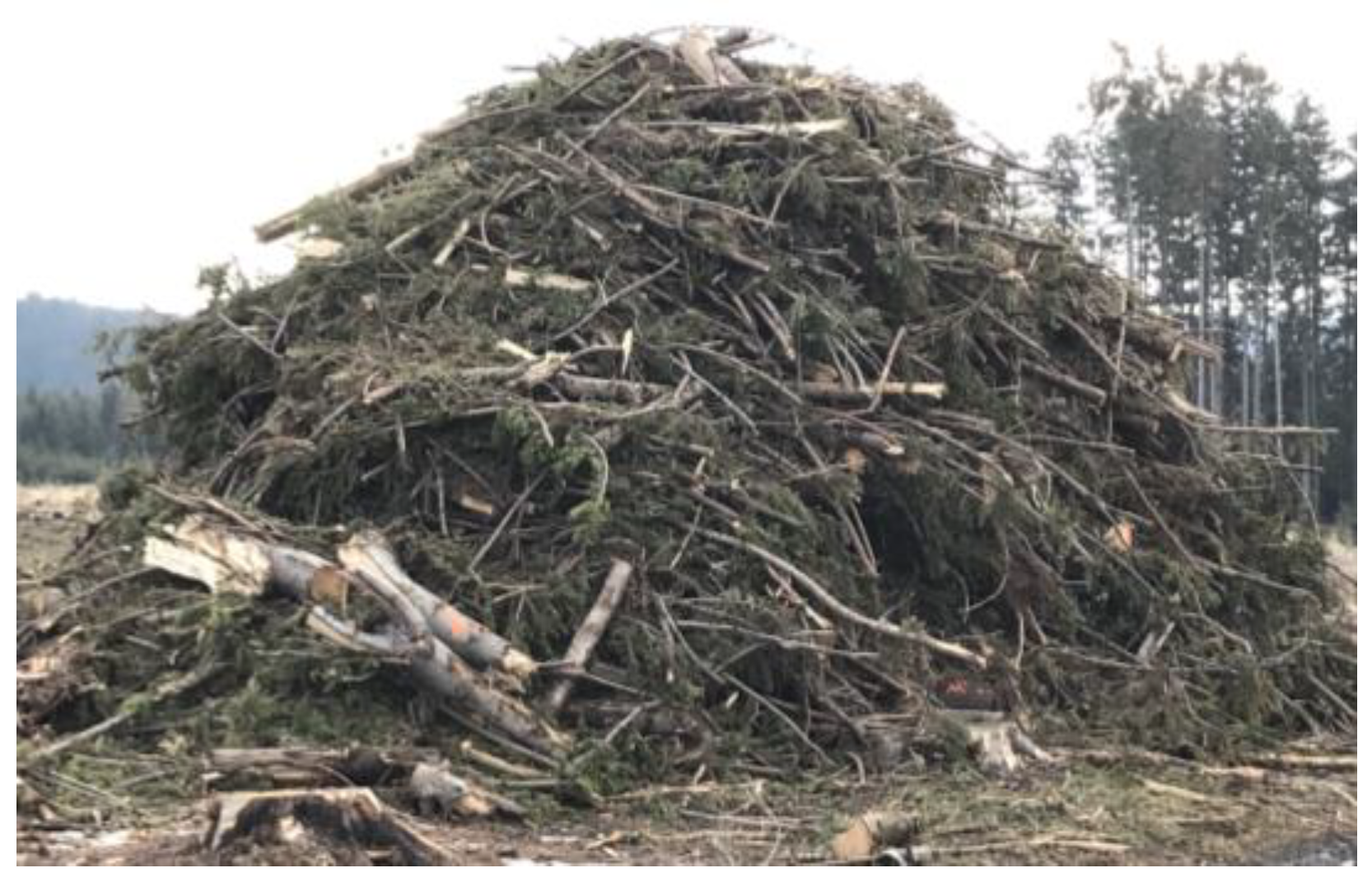 Forests 16 00498 g002