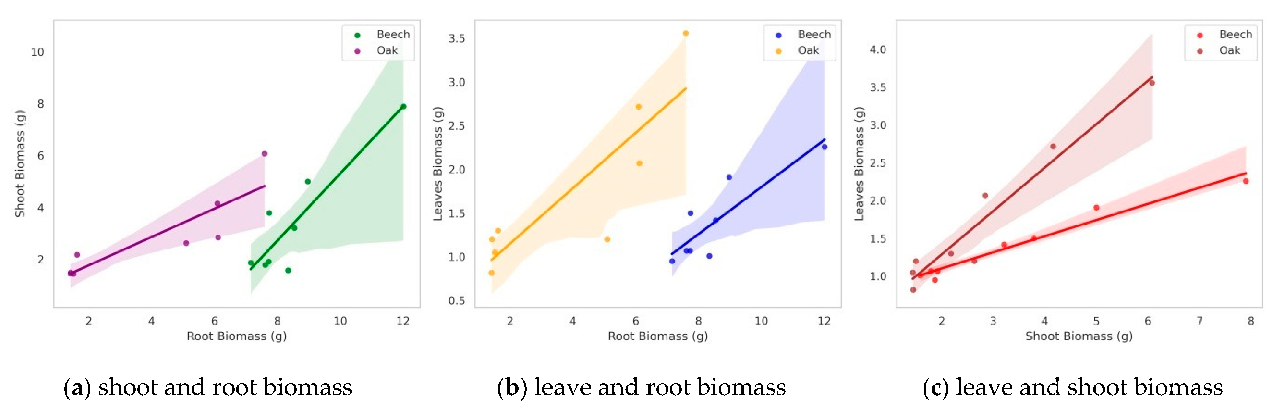 Forests 16 00511 g004