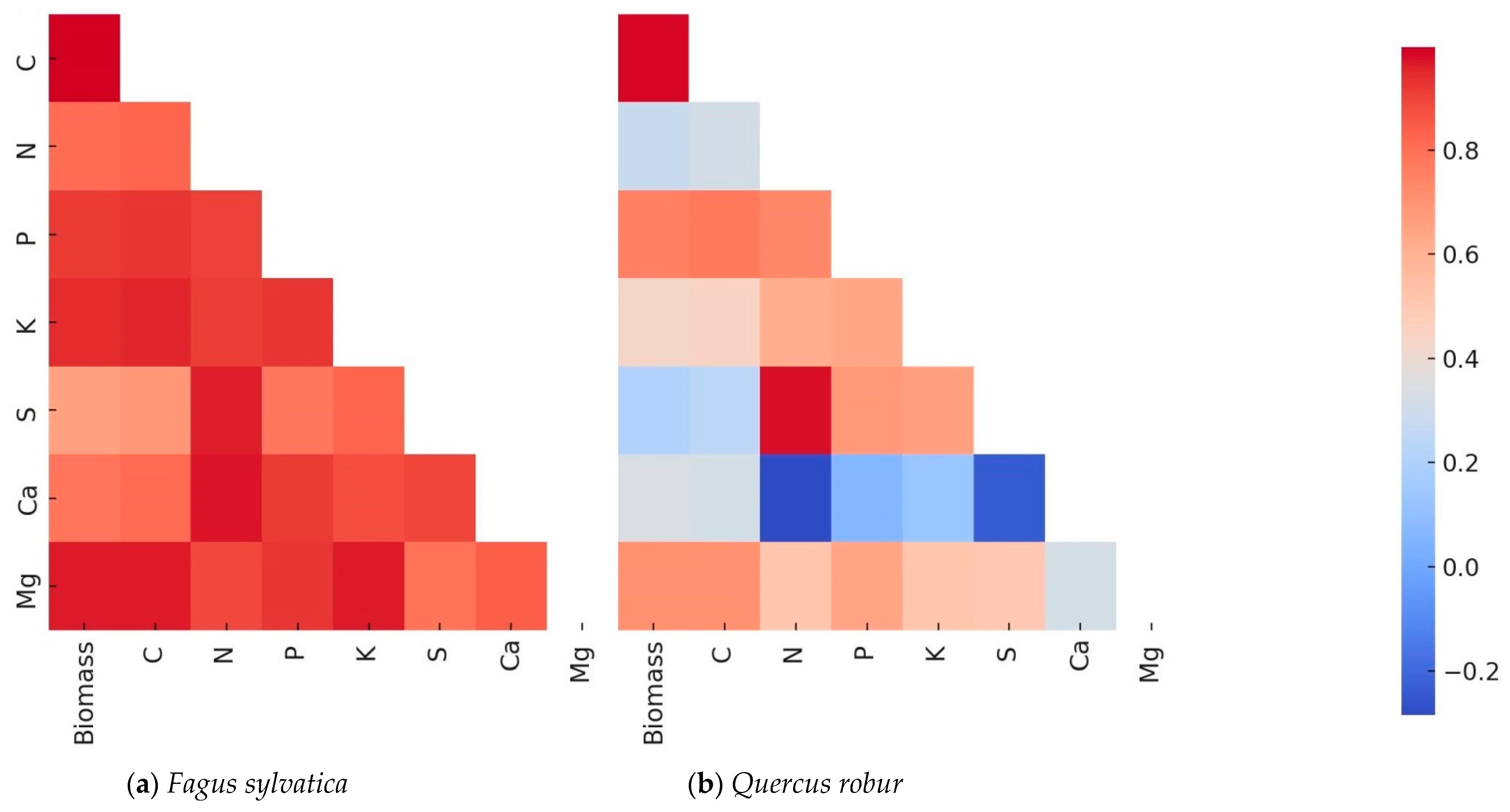 Forests 16 00511 g007