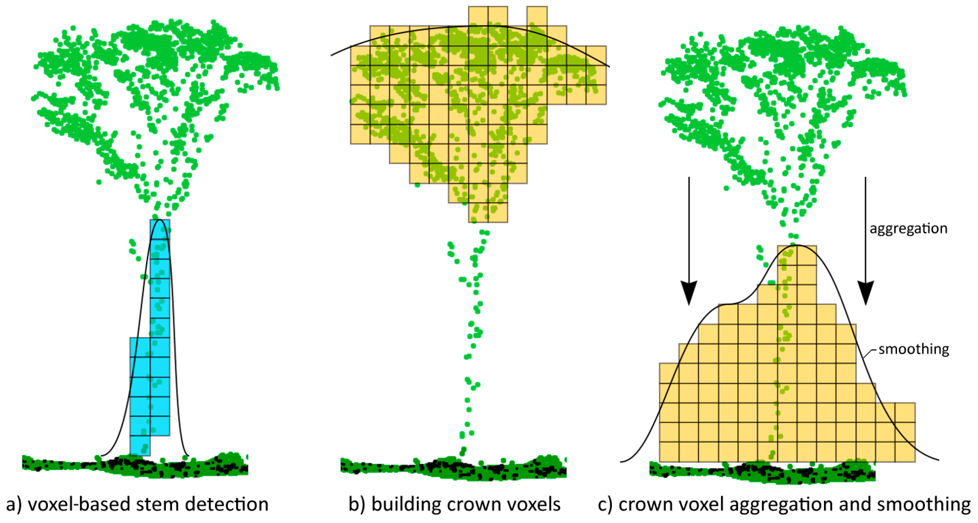 Forests 16 00512 g003