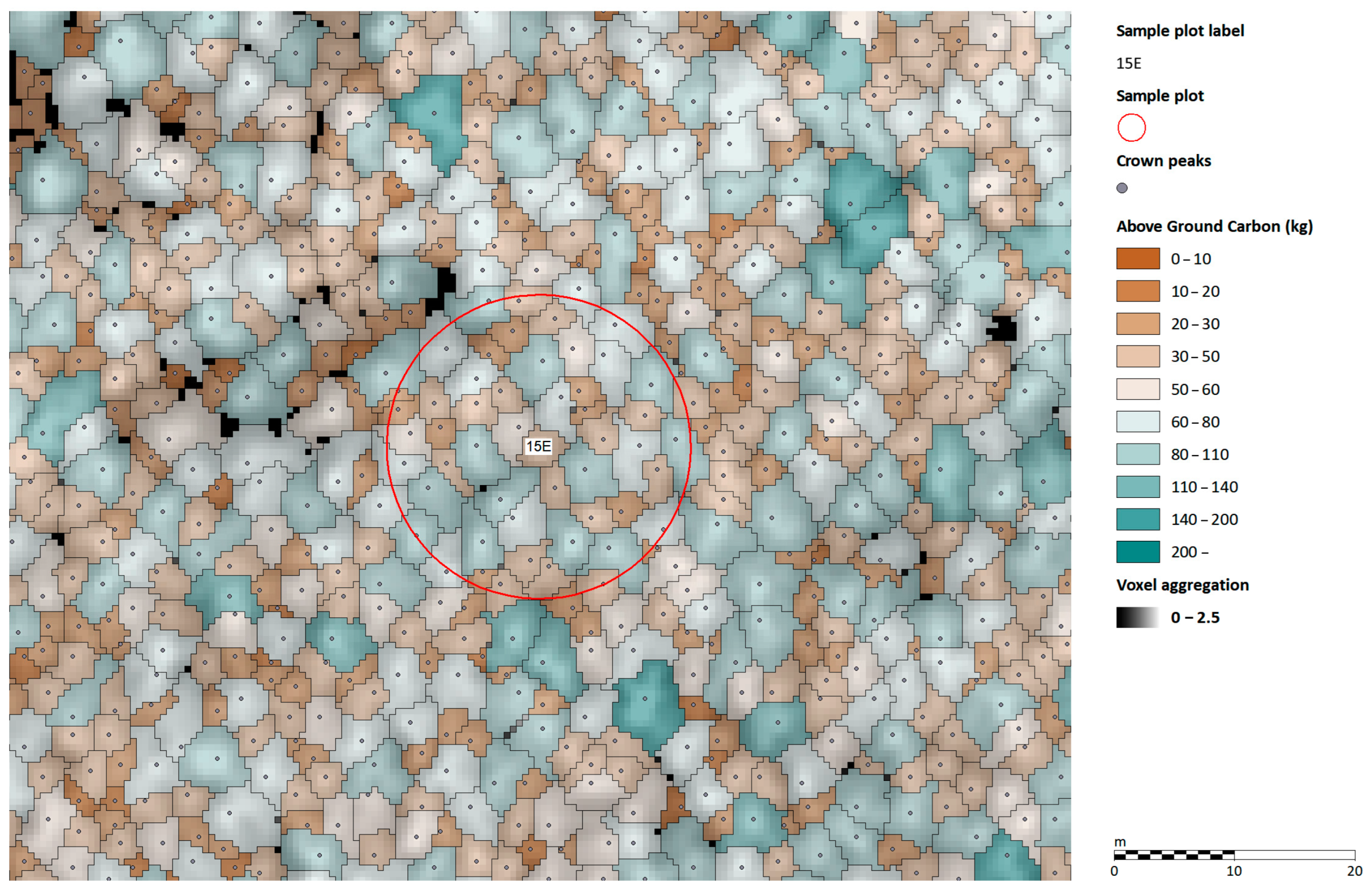 Forests 16 00512 g010