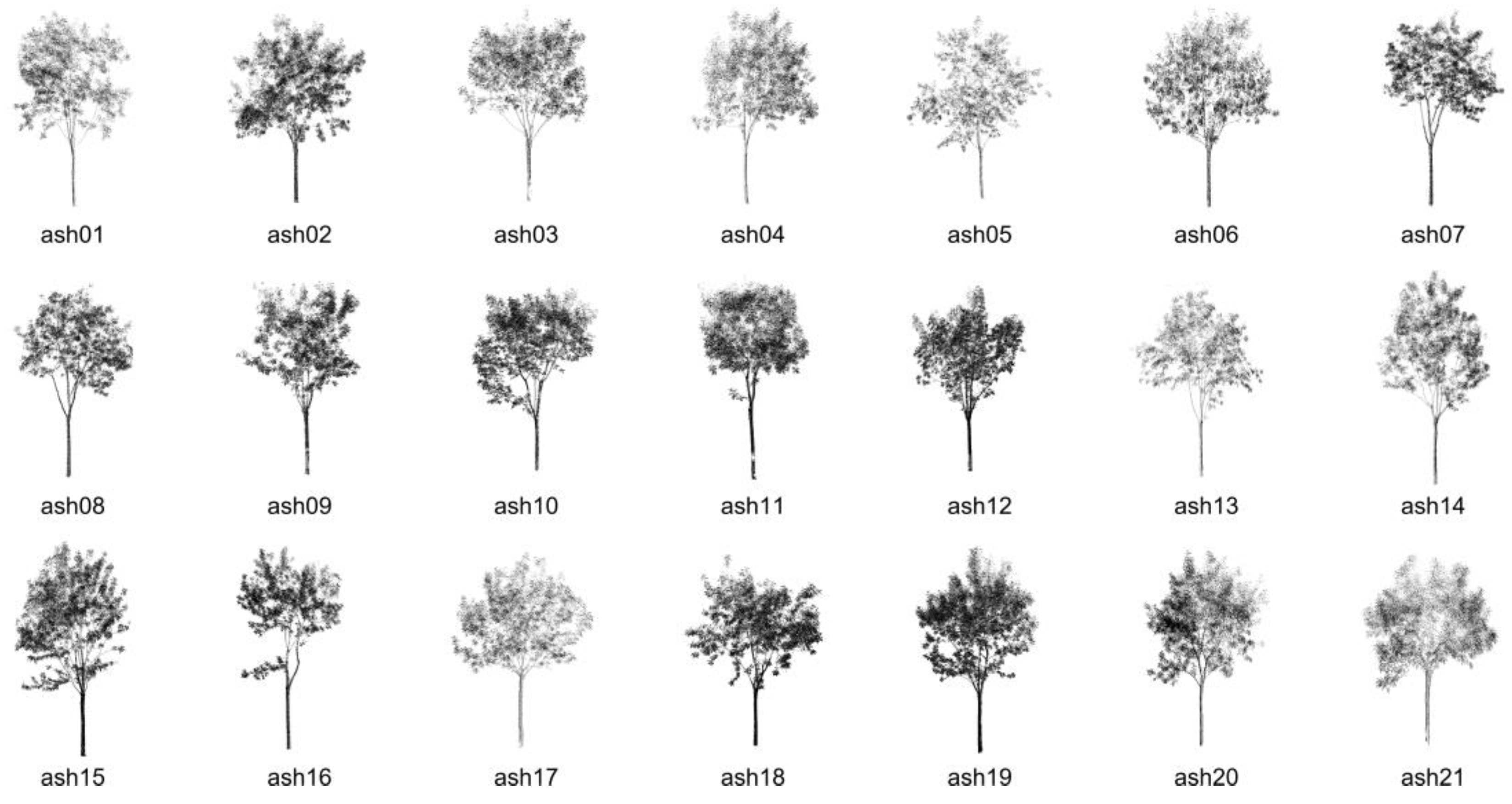 Forests 16 00513 g001