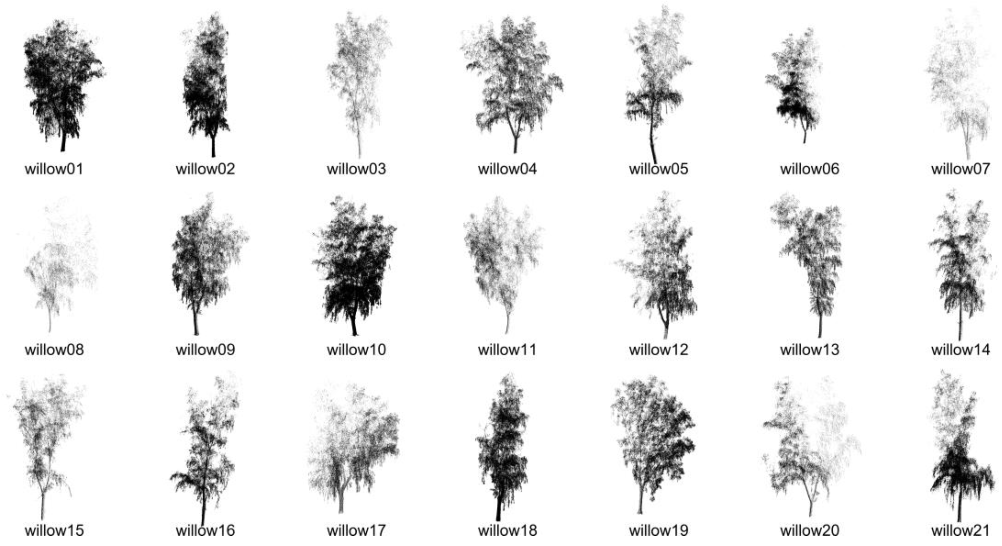 Forests 16 00513 g002