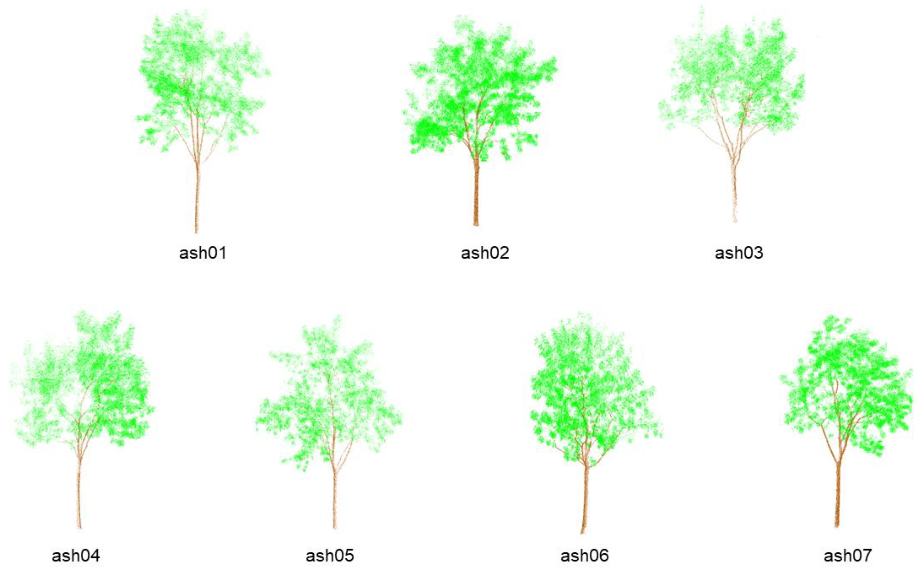 Forests 16 00513 g008