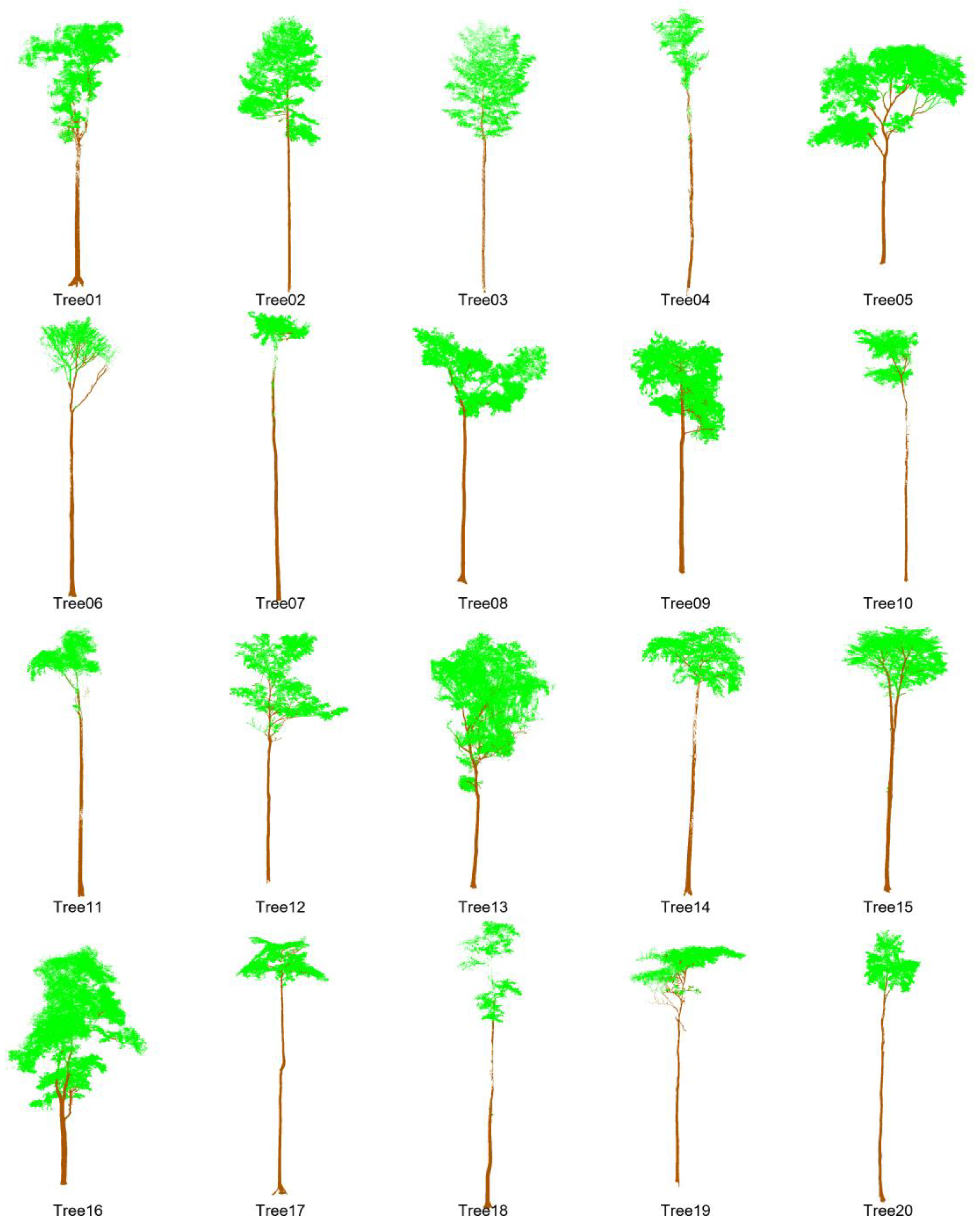 Forests 16 00513 g010