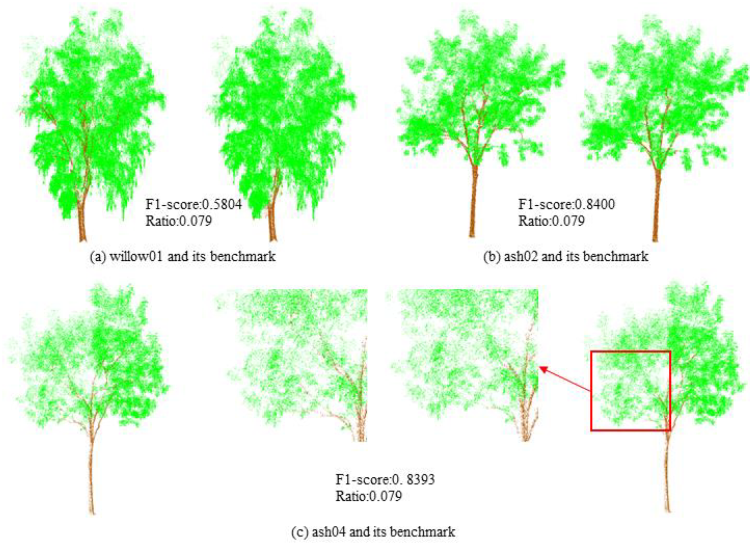 Forests 16 00513 g014