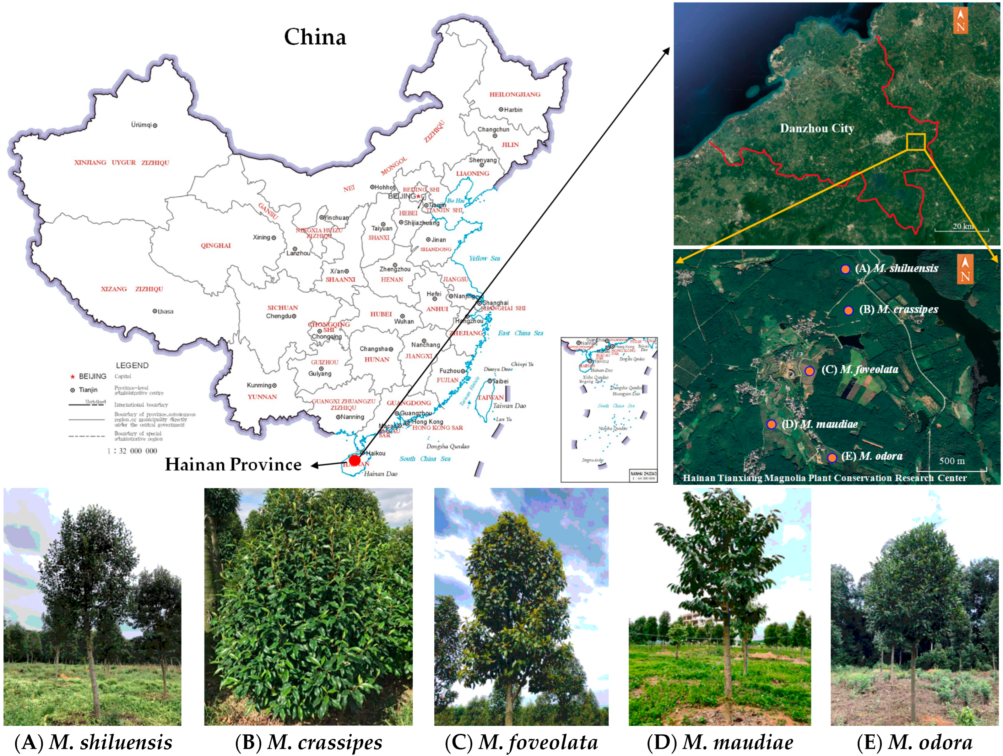 Forests 16 00514 g001
