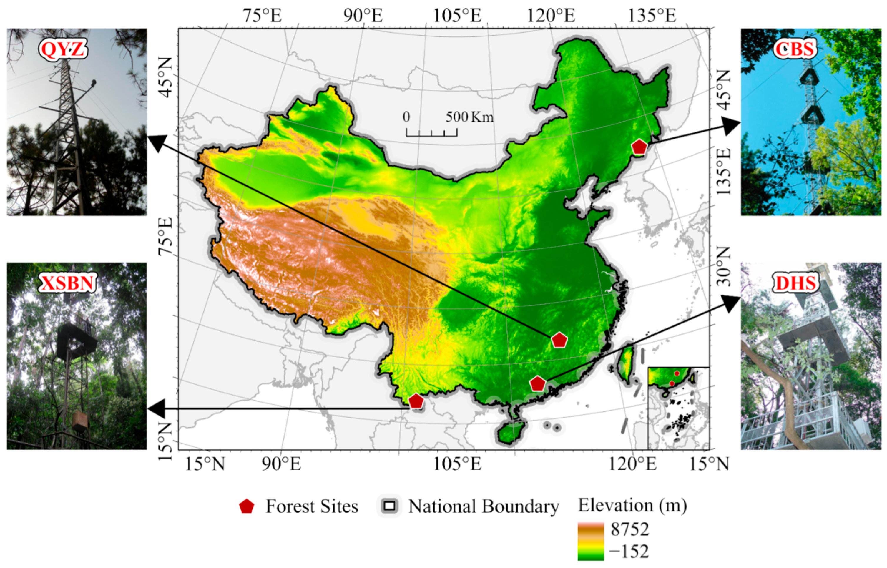 Forests 16 00518 g001