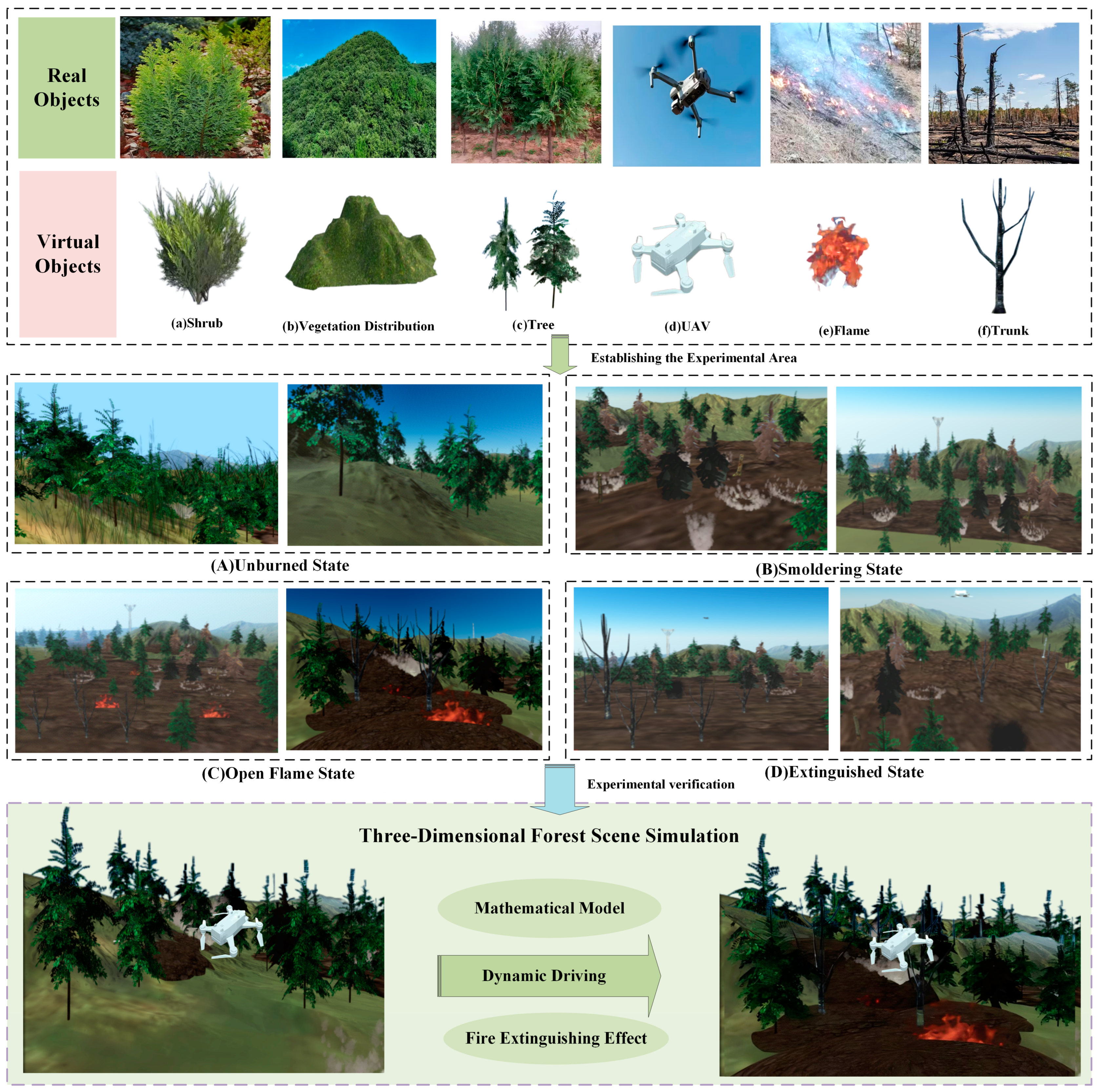 Forests 16 00519 g003