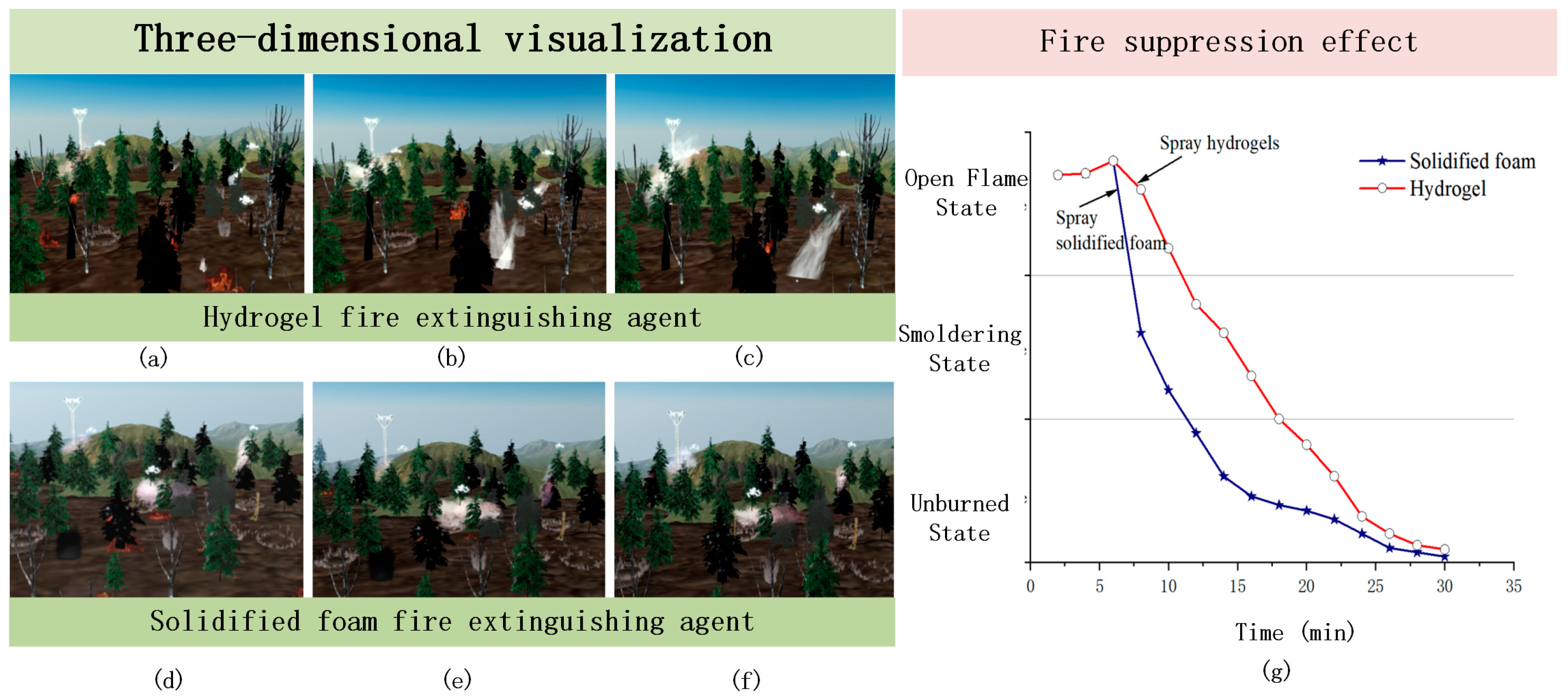 Forests 16 00519 g012