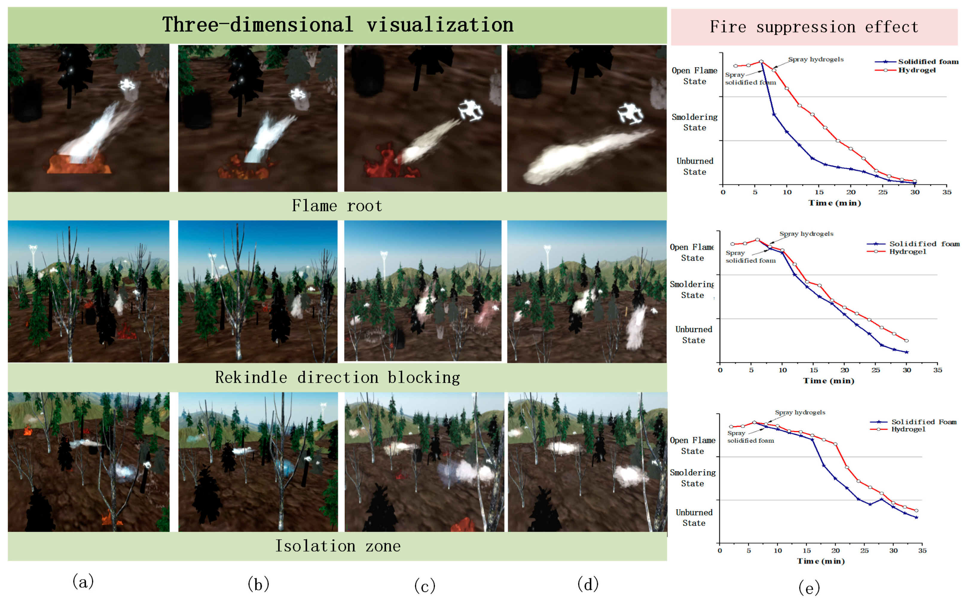 Forests 16 00519 g013