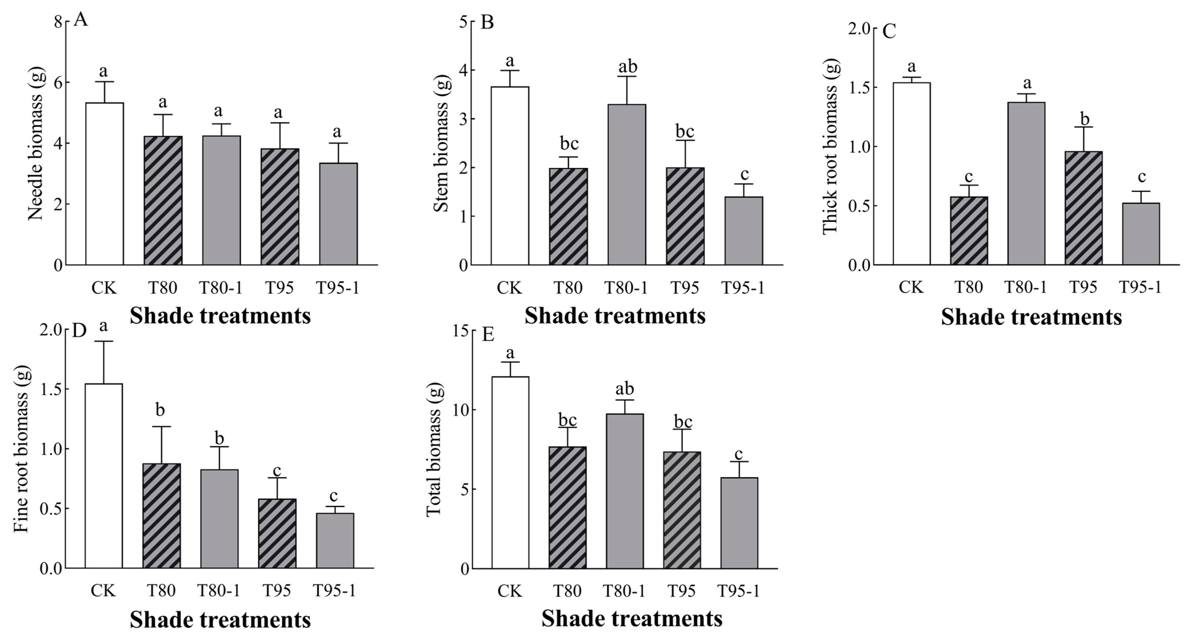 Forests 16 00522 g001