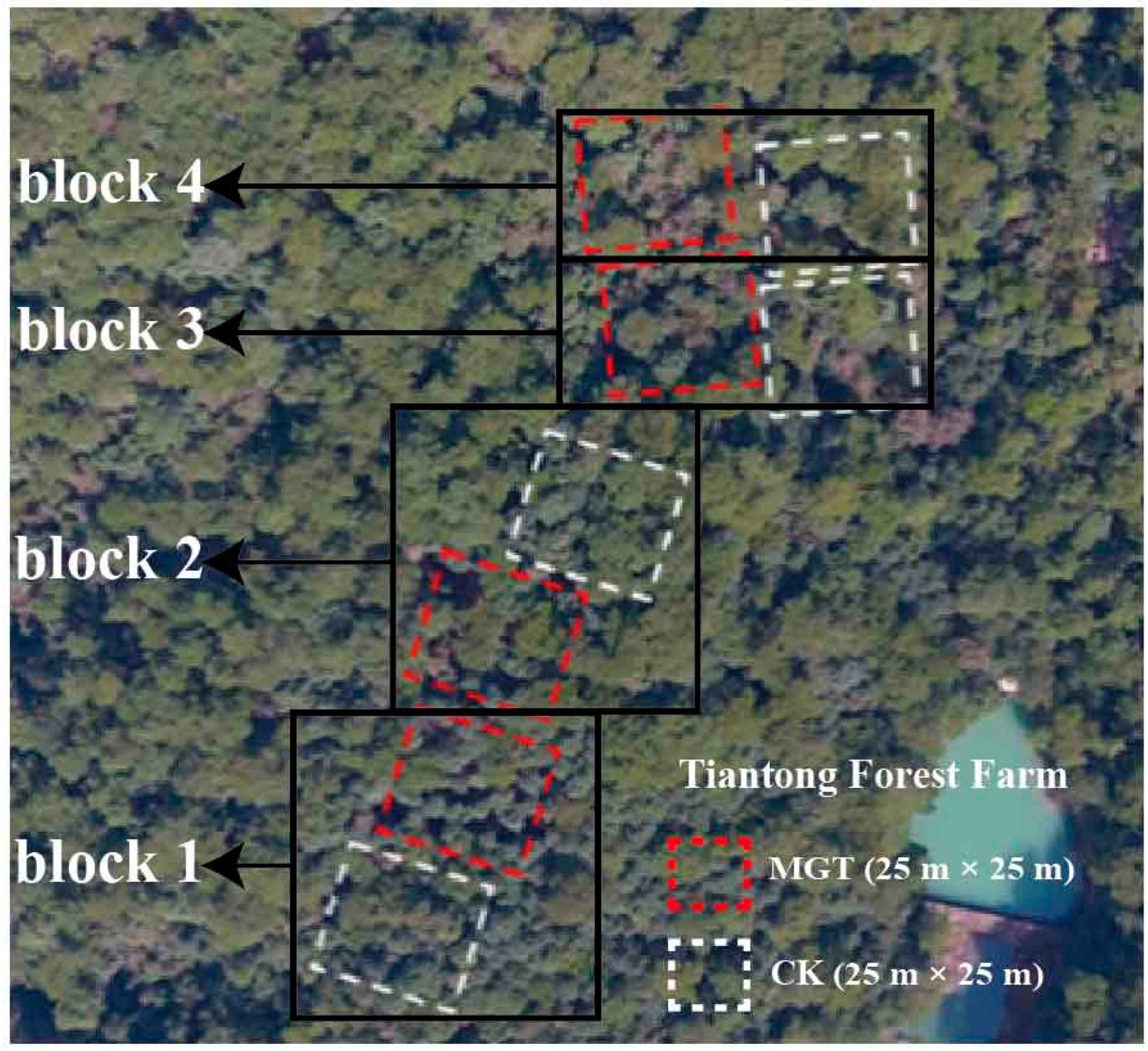 Forests 16 00523 g001