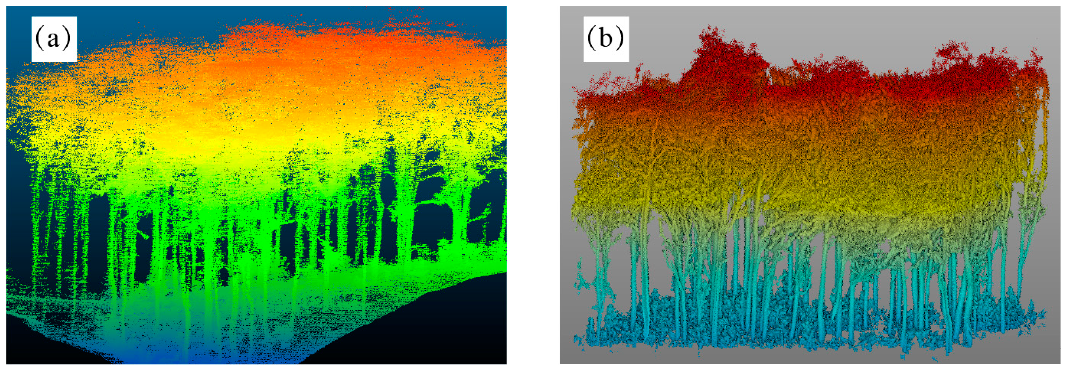 Forests 16 00523 g002