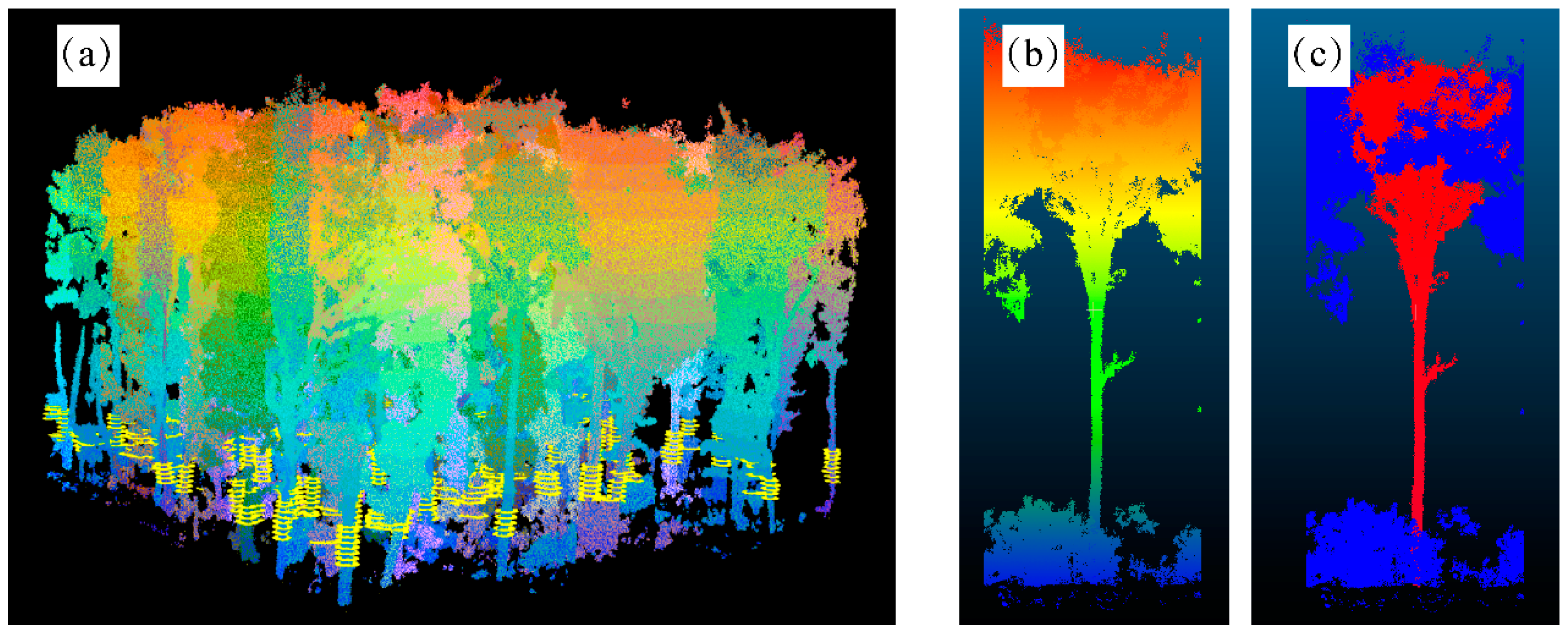 Forests 16 00523 g003